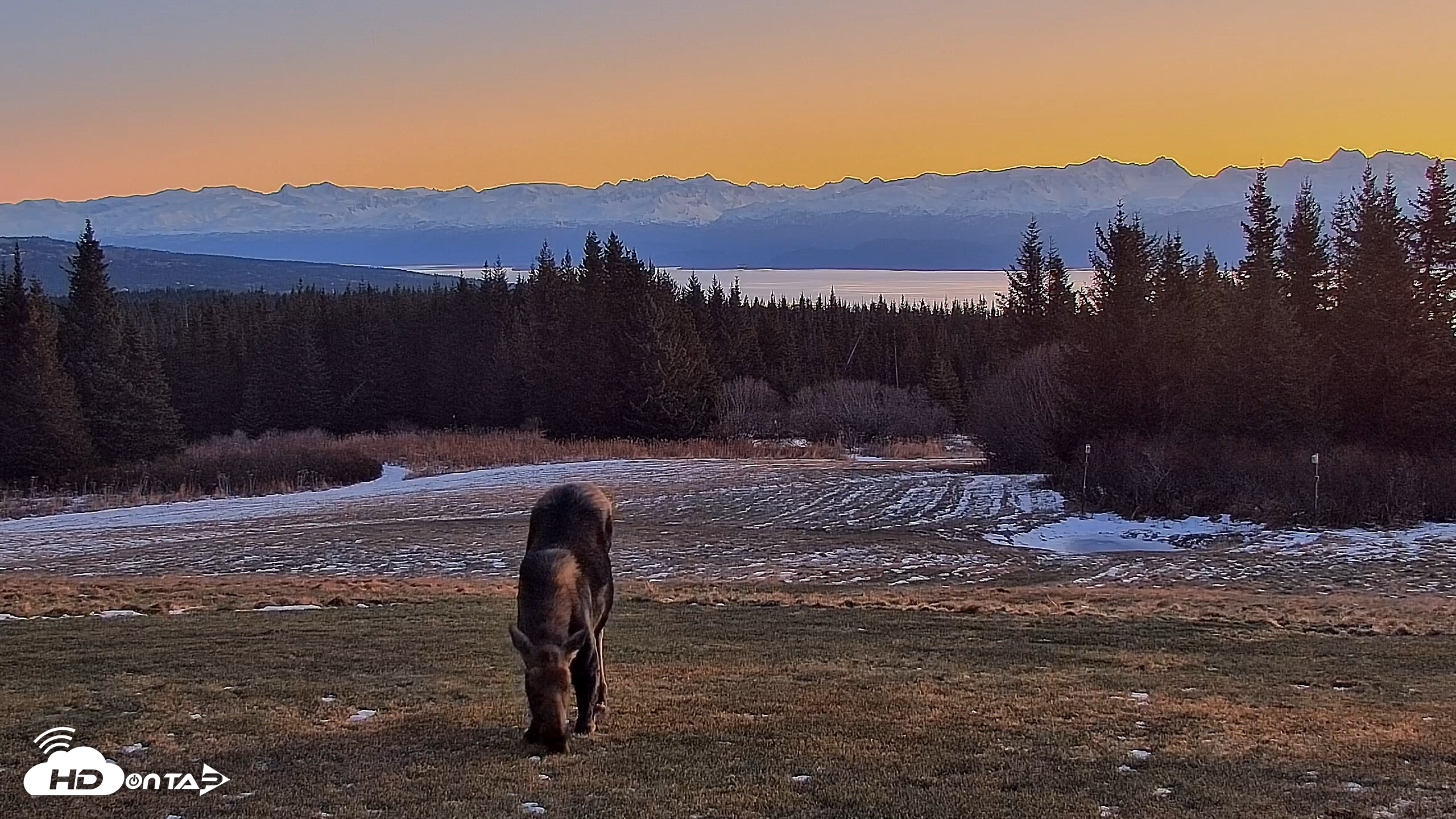 Snapshot of Inspiration Ridge - Homer Alaska Live Webcam taken Dec 12, 2025, 9:16am AKST