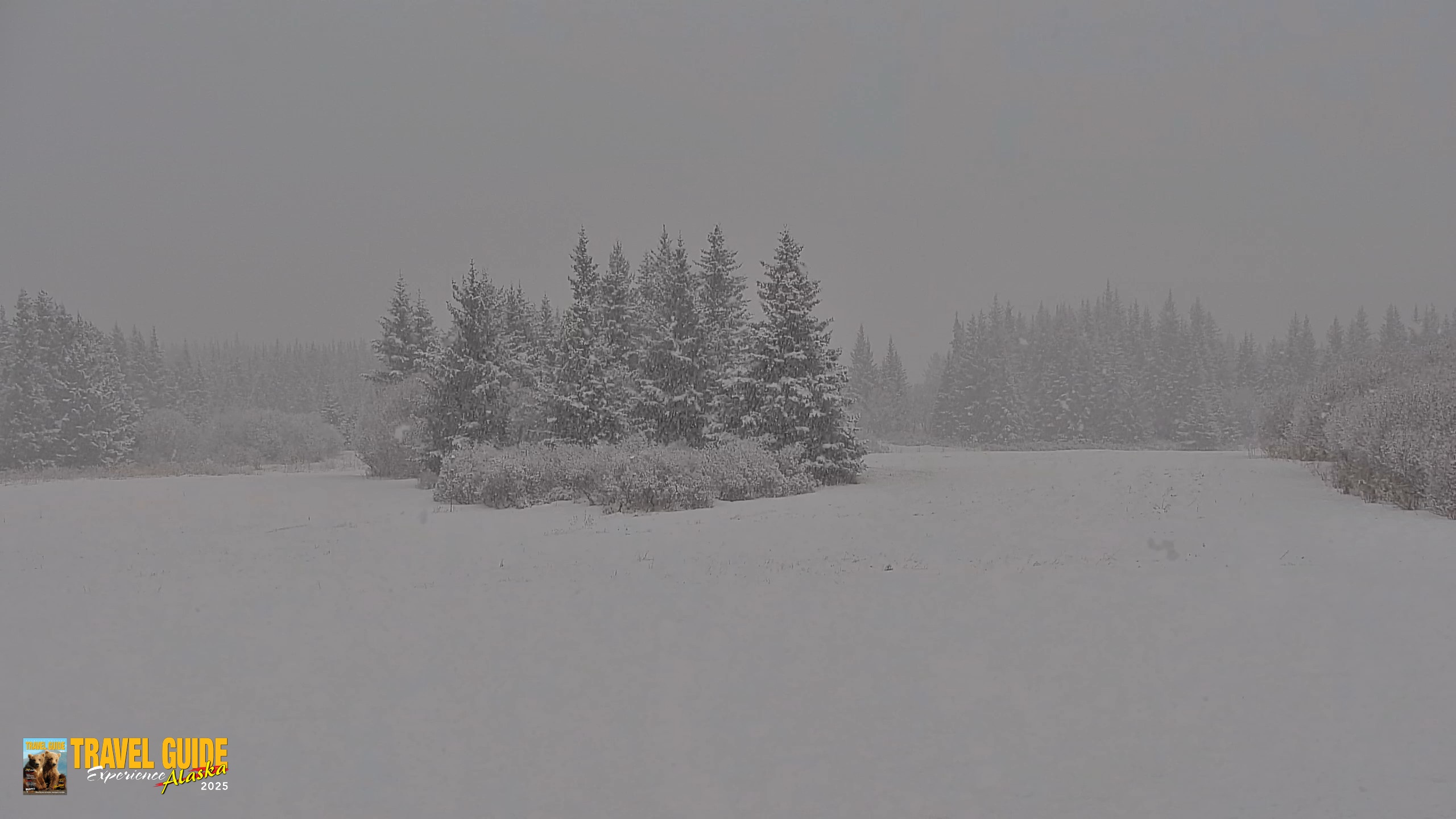 Snapshot of Inspiration Ridge - Homer Alaska Live Webcam taken Apr 17, 2026, 10:42am AKDT