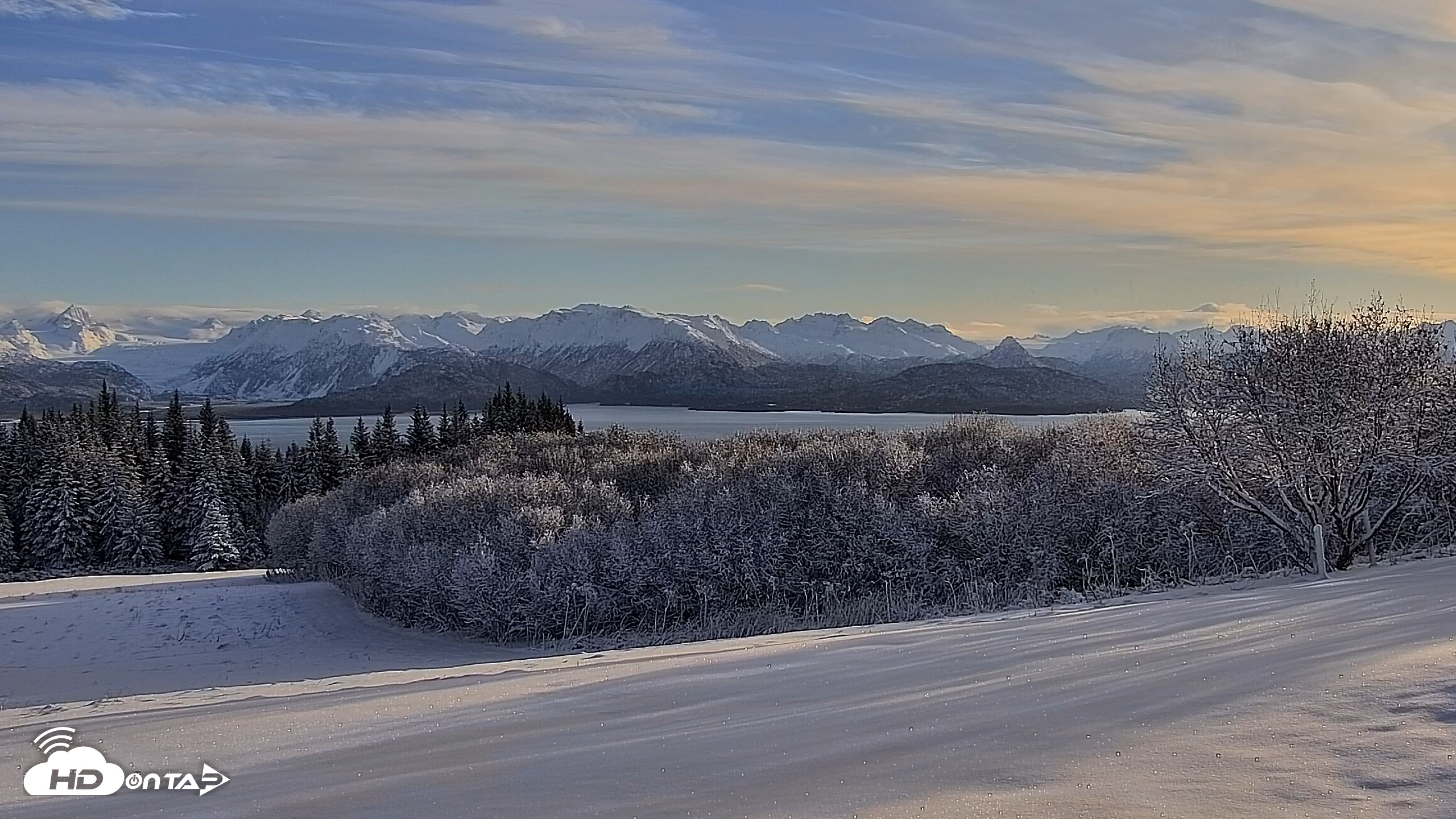 Snapshot of Inspiration Ridge - Homer Alaska Live Webcam taken Nov 22, 2025, 1:17pm AKST