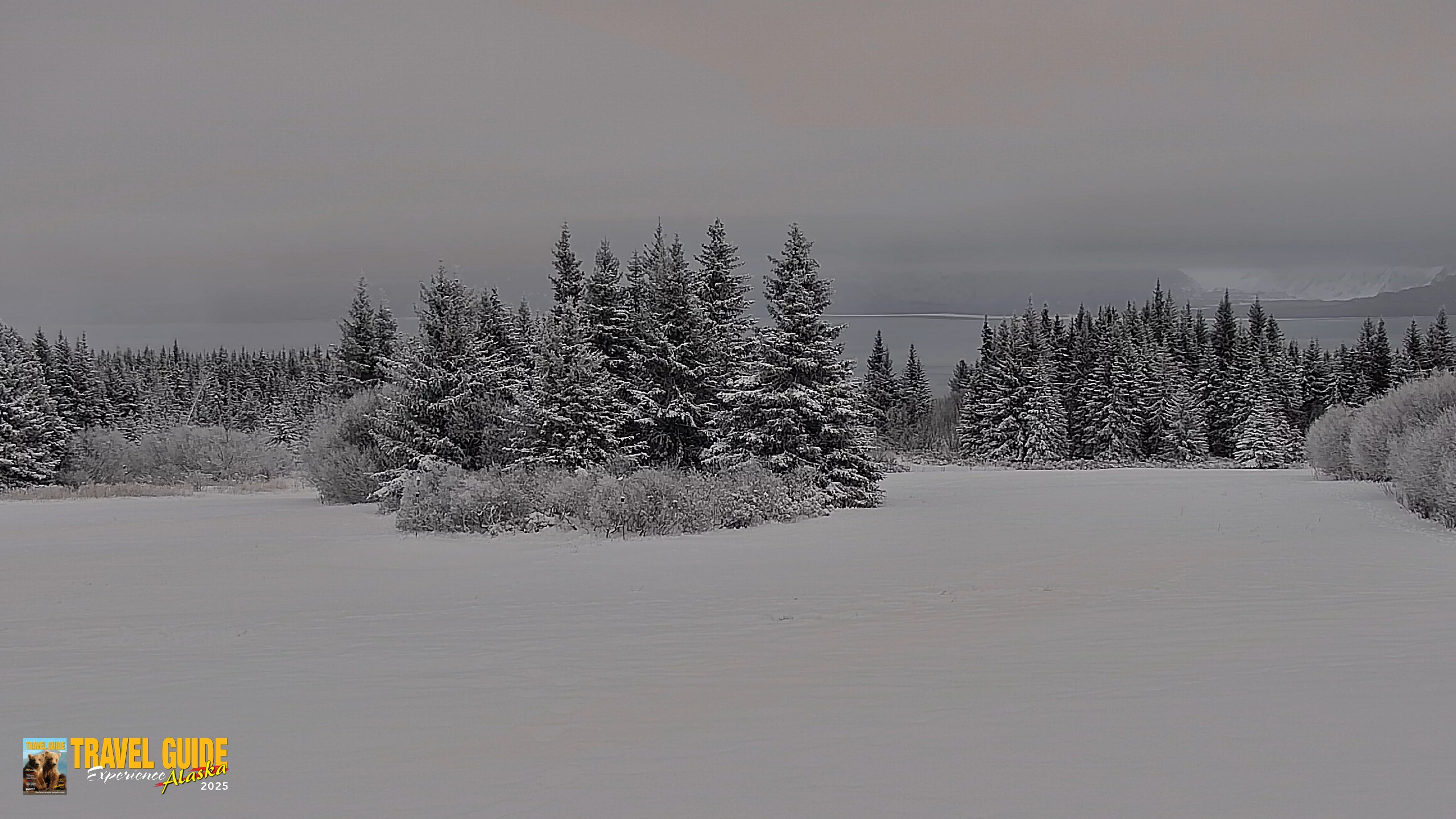 Snapshot of Inspiration Ridge - Homer Alaska Live Webcam taken Jan 11, 2026, 3:45pm AKST