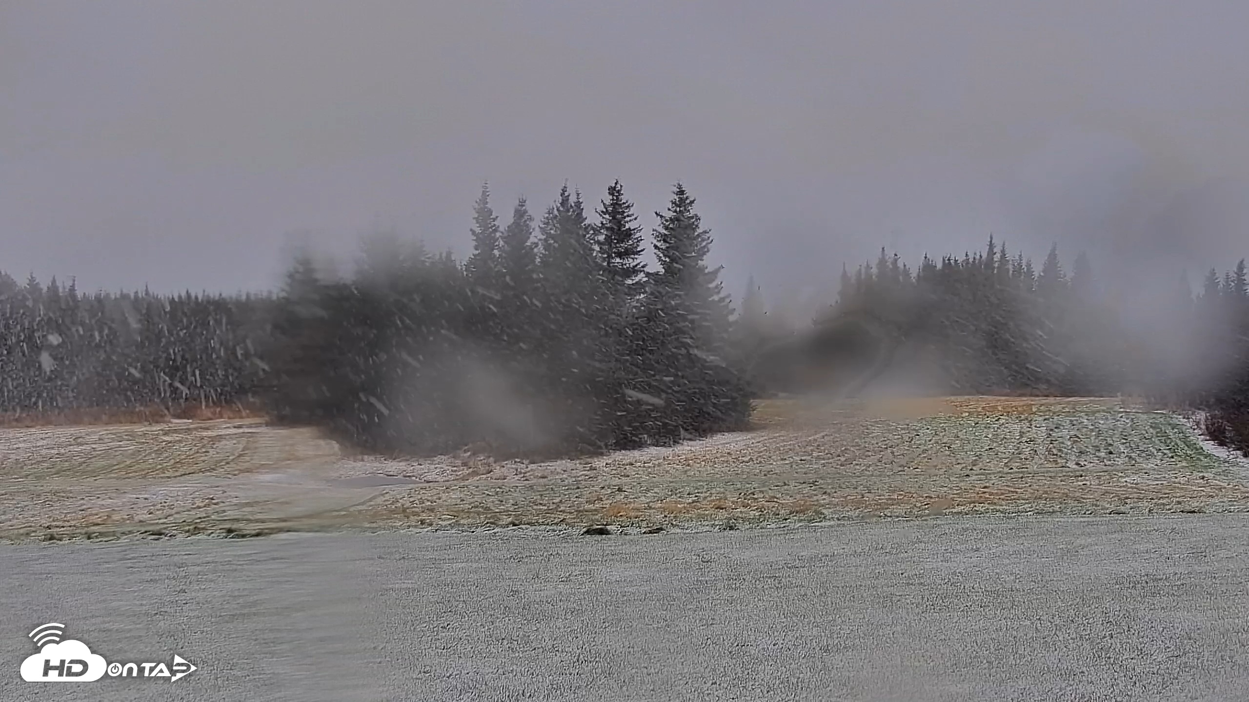 Snapshot of Inspiration Ridge - Homer Alaska Live Webcam taken Oct 29, 2025, 11:38am AKDT