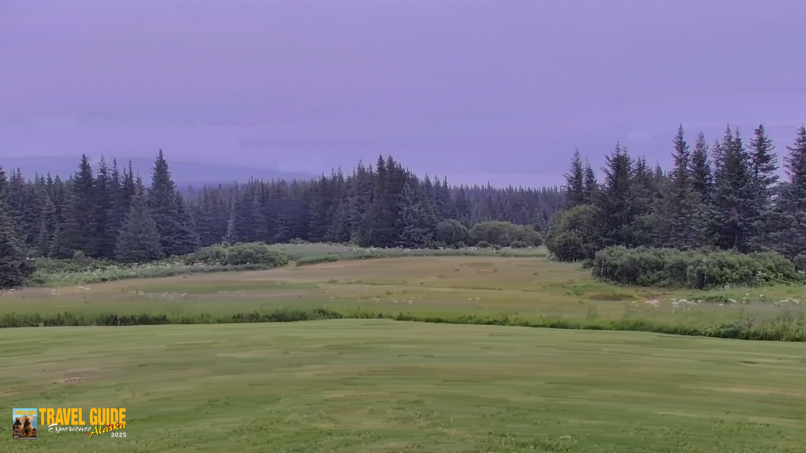Snapshot of Inspiration Ridge - Homer Alaska Live Webcam taken Aug 5, 2026, 1:38pm AKDT