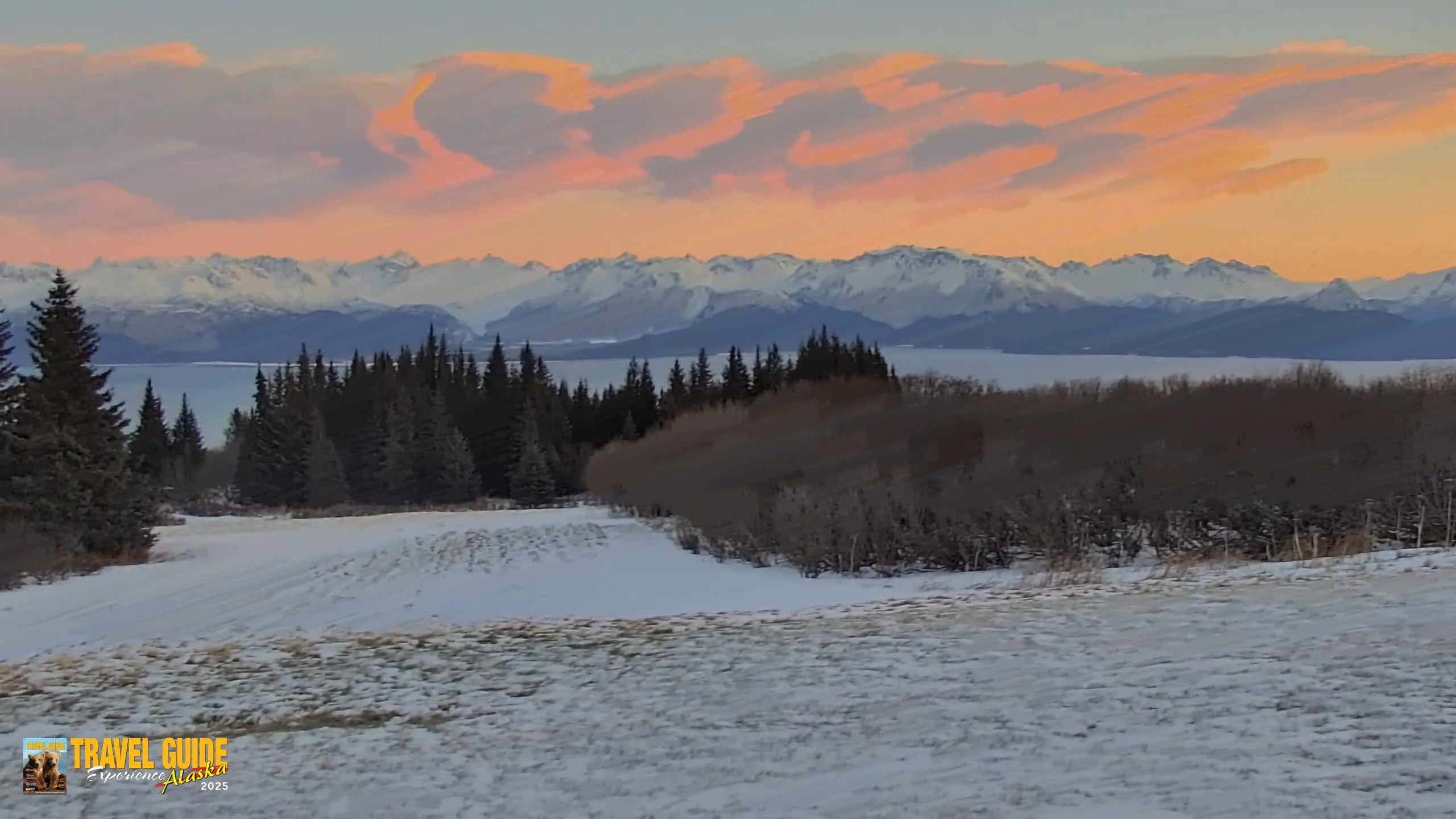 Snapshot of Inspiration Ridge - Homer Alaska Live Webcam taken Jan 1, 2026, 4:20pm AKST
