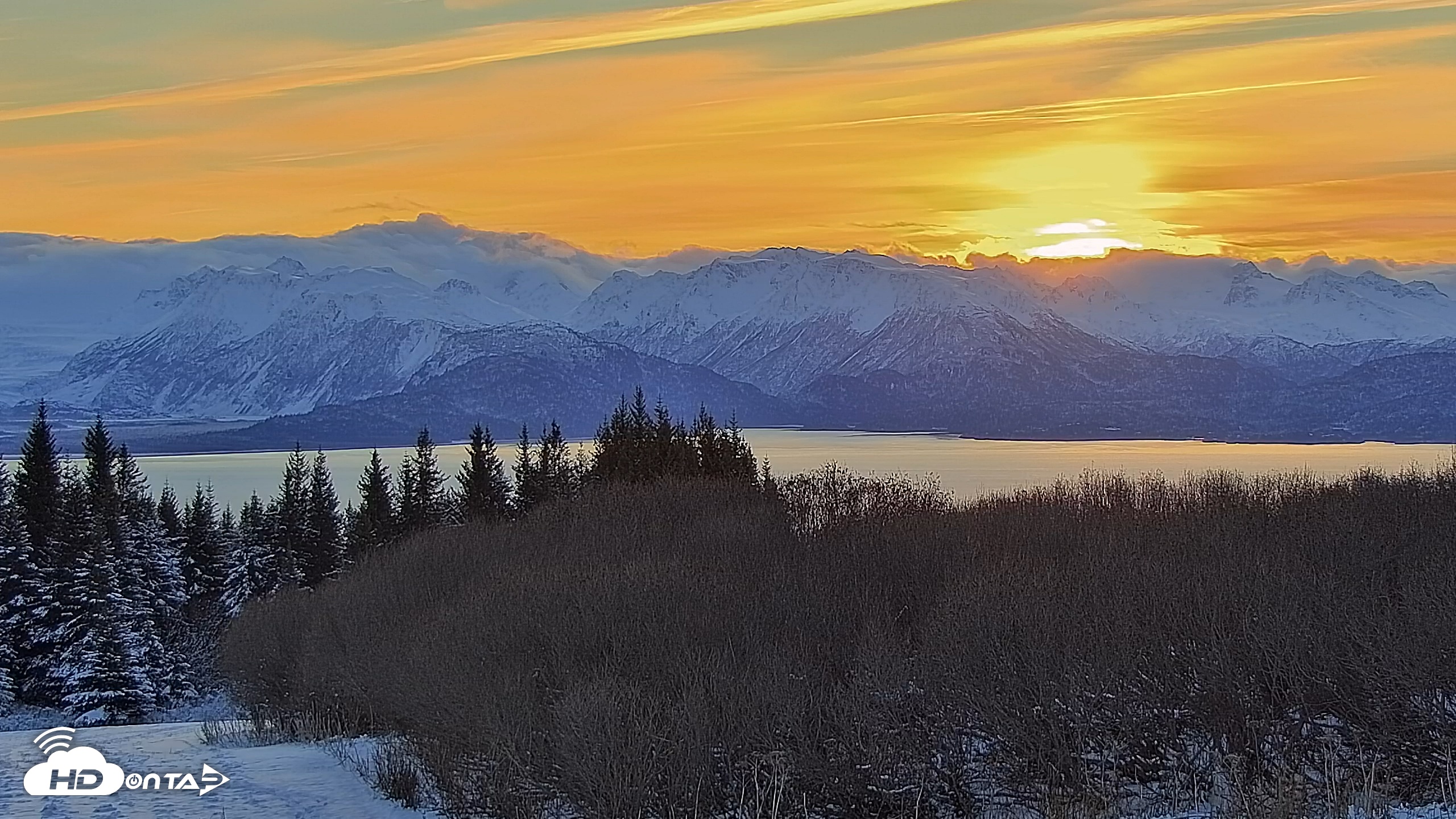 Snapshot of Inspiration Ridge - Homer Alaska Live Webcam taken Nov 25, 2025, 9:47am AKST