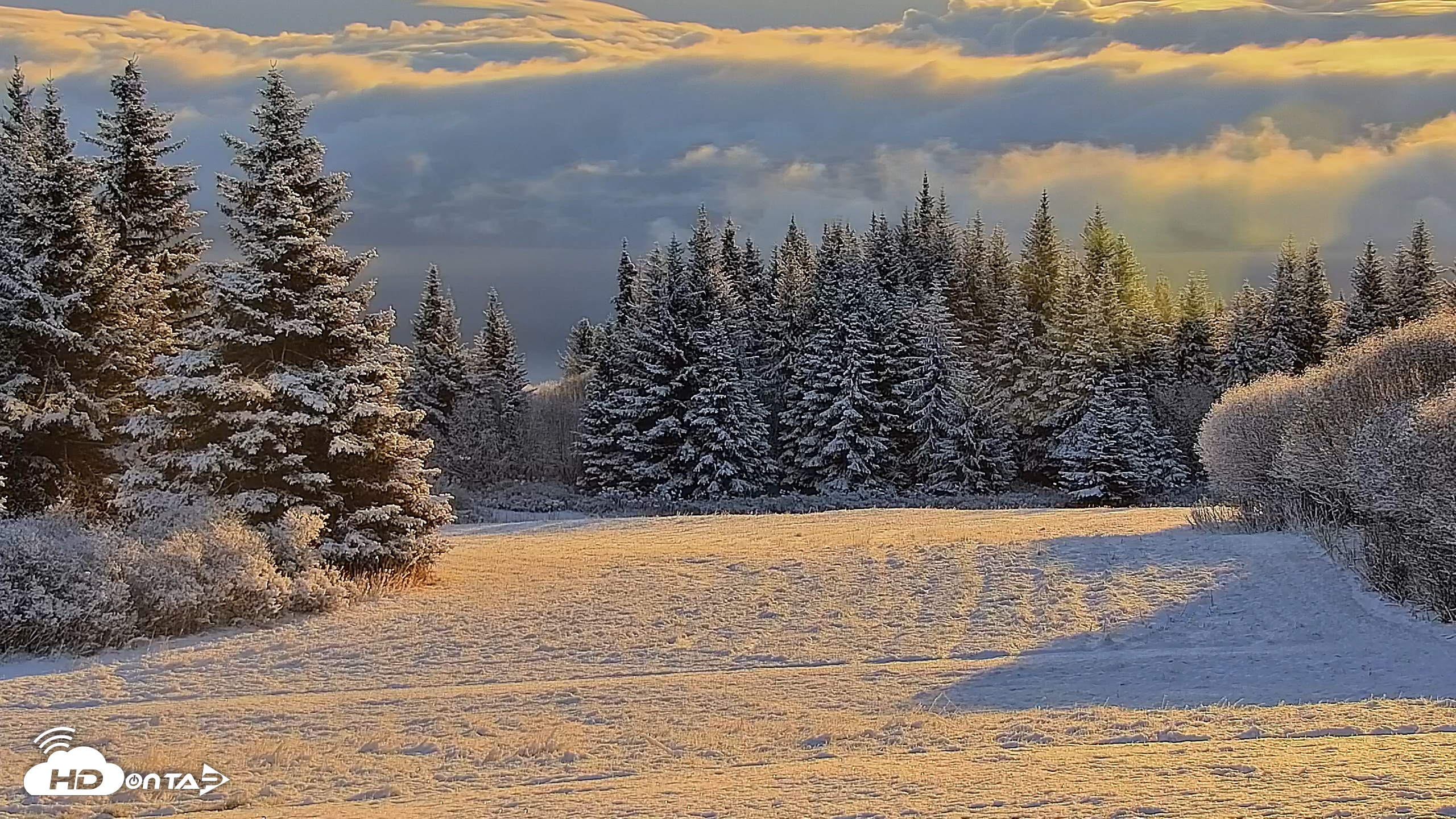 Snapshot of Inspiration Ridge - Homer Alaska Live Webcam taken Nov 5, 2025, 9:45am AKST