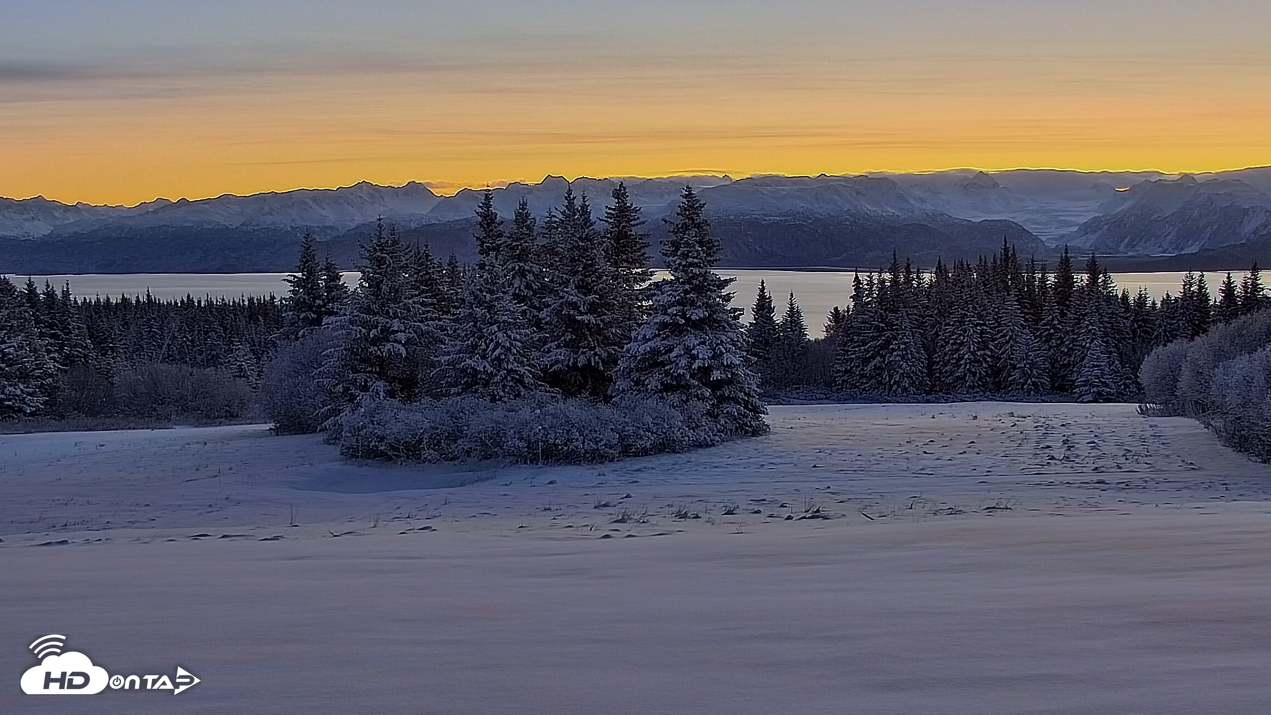 Snapshot of Inspiration Ridge - Homer Alaska Live Webcam taken Nov 22, 2025, 8:44am AKST