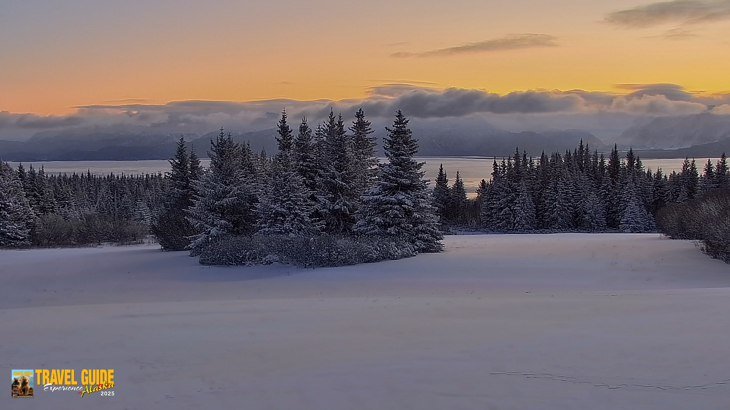 Snapshot of Inspiration Ridge - Homer Alaska Live Webcam taken Jan 7, 2026, 9:37am AKST