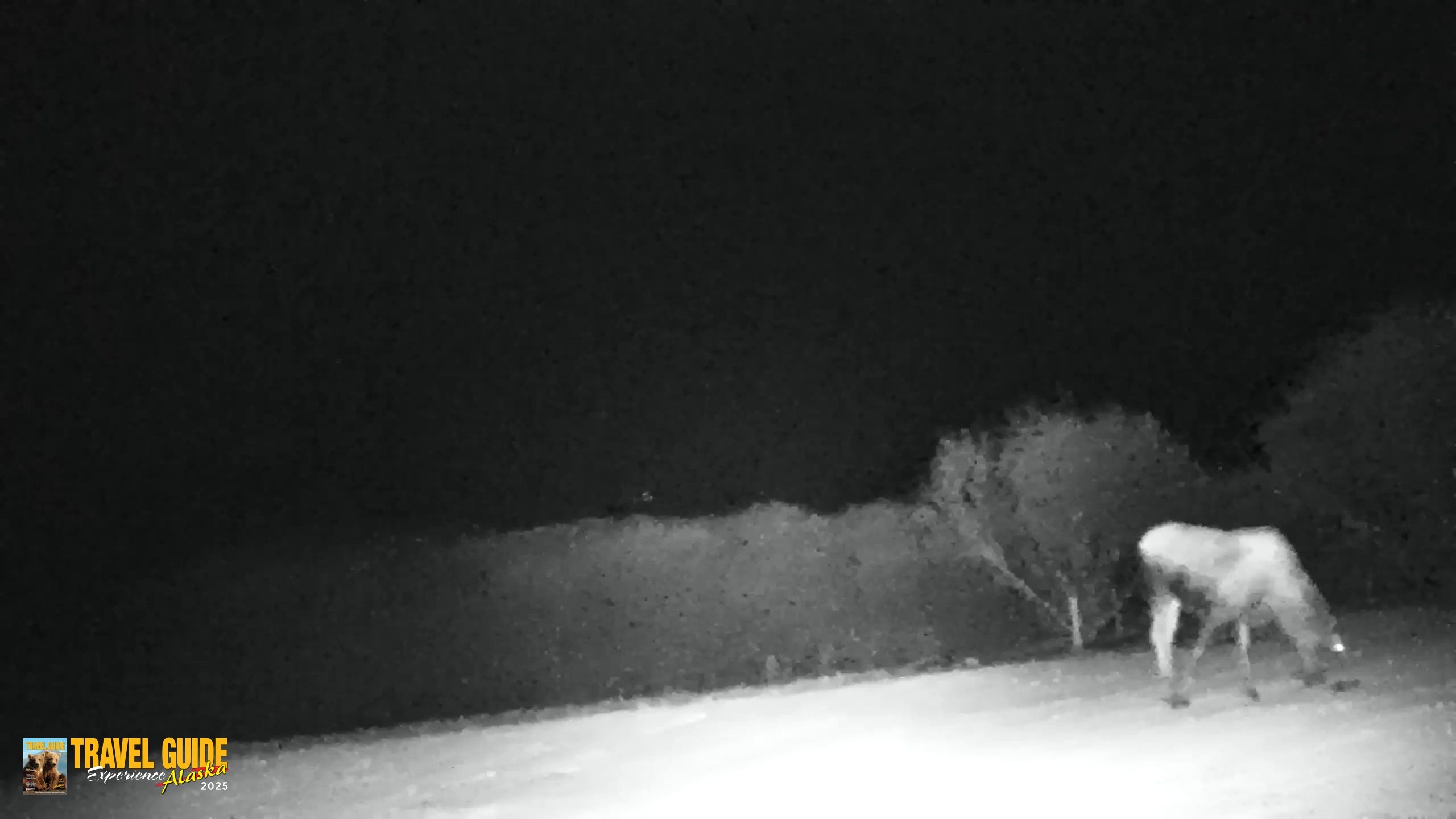 Snapshot of Inspiration Ridge - Homer Alaska Live Webcam taken Apr 15, 2026, 12:32am AKDT