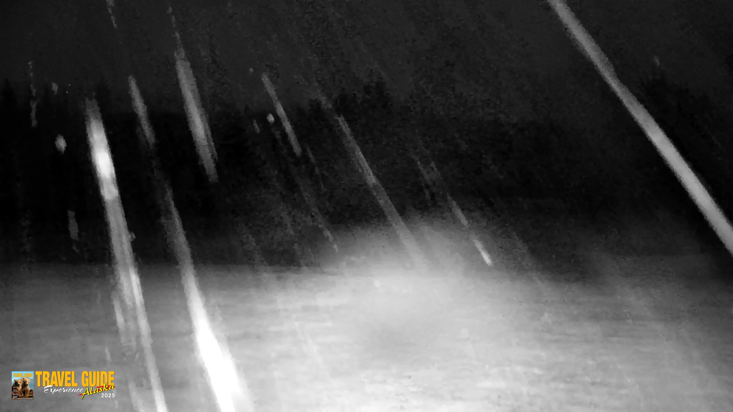 Snapshot of Inspiration Ridge - Homer Alaska Live Webcam taken May 17, 2026, 3:58am AKDT