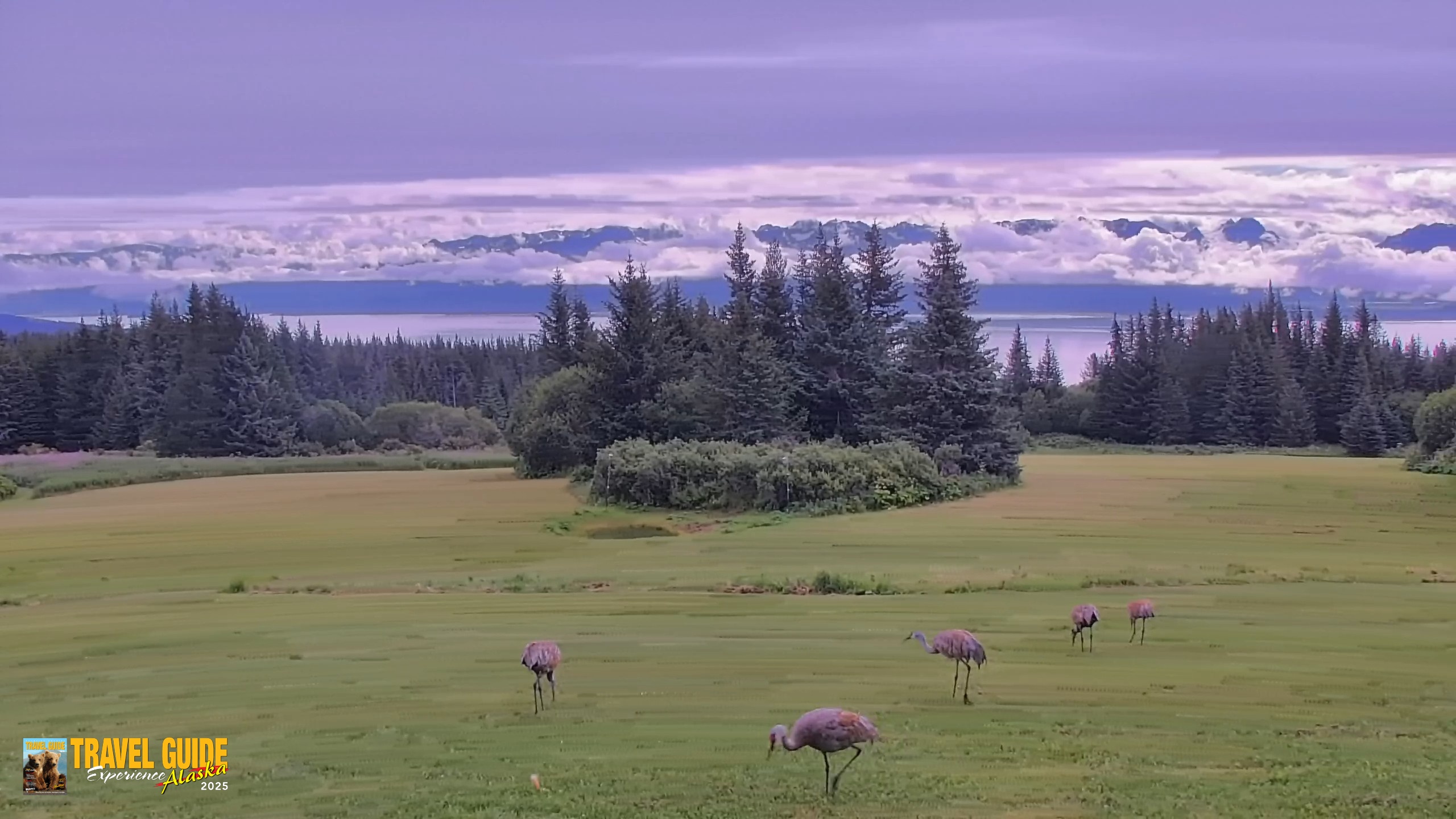 Snapshot of Inspiration Ridge - Homer Alaska Live Webcam taken Aug 21, 2026, 11:12am AKDT