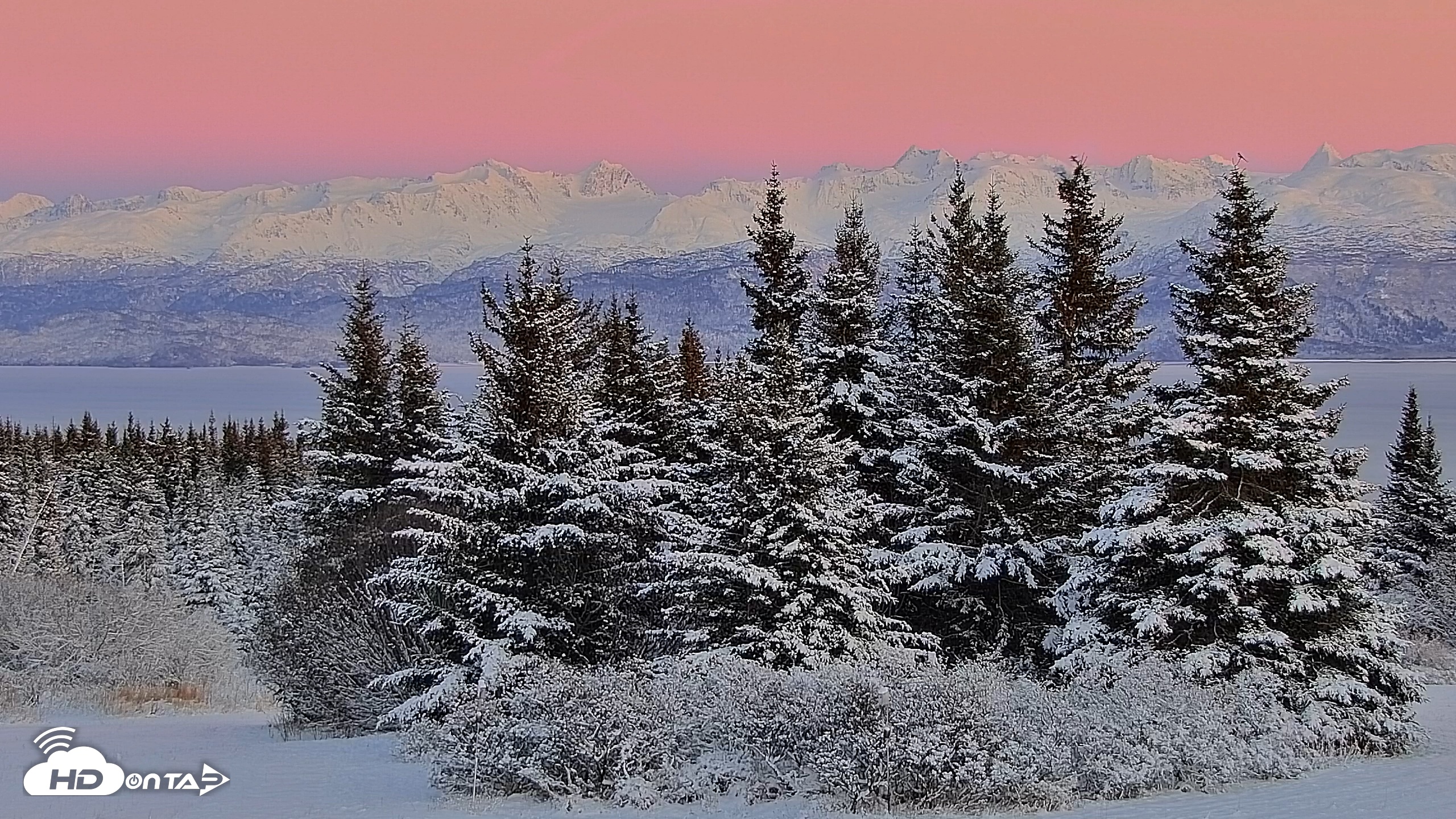Snapshot of Inspiration Ridge - Homer Alaska Live Webcam taken Nov 23, 2025, 4:48pm AKST