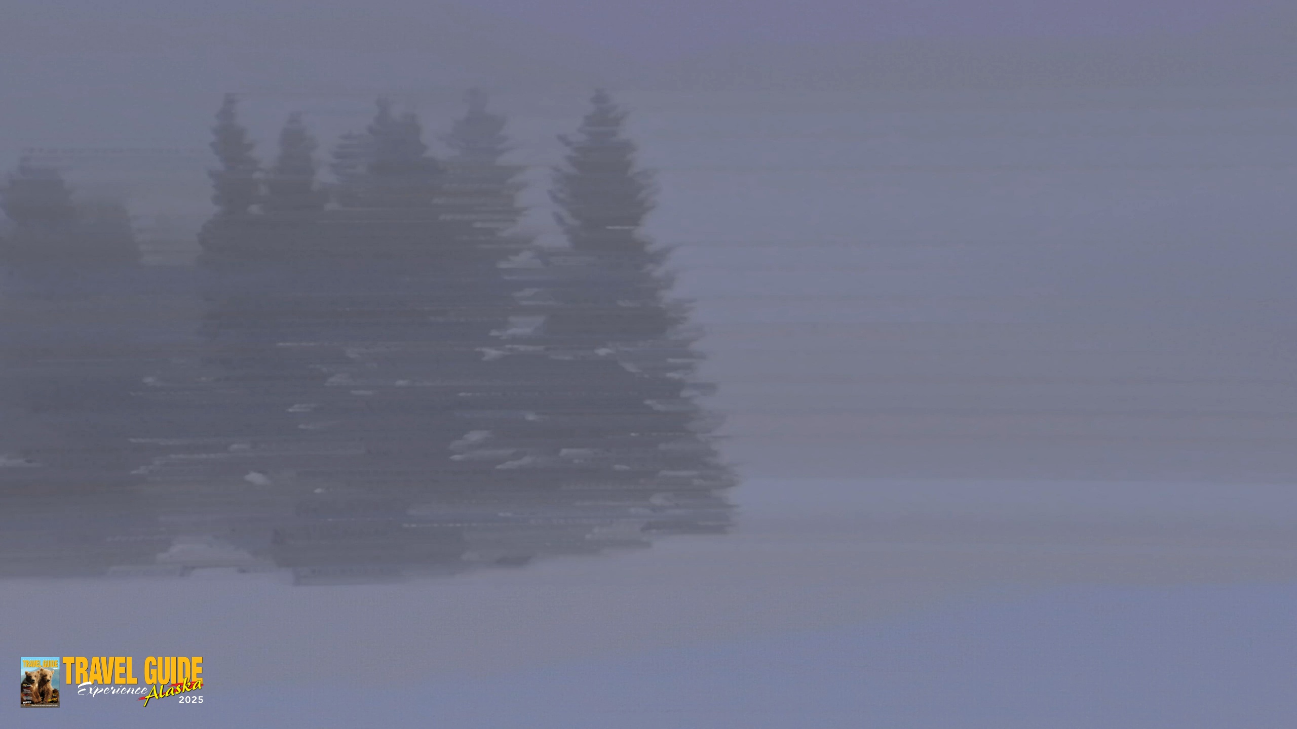 Snapshot of Inspiration Ridge - Homer Alaska Live Webcam taken Jan 10, 2026, 9:48am AKST