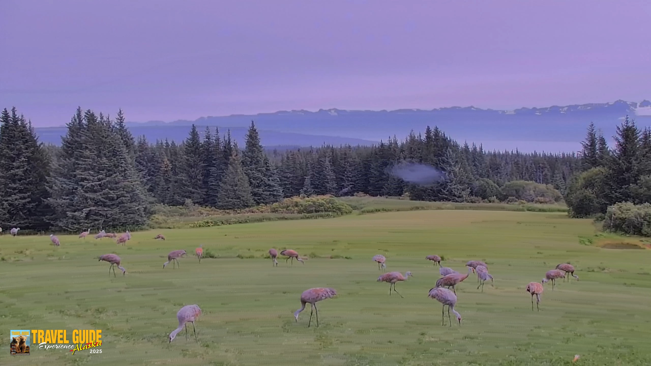 Snapshot of Inspiration Ridge - Homer Alaska Live Webcam taken Aug 30, 2026, 2:04pm AKDT