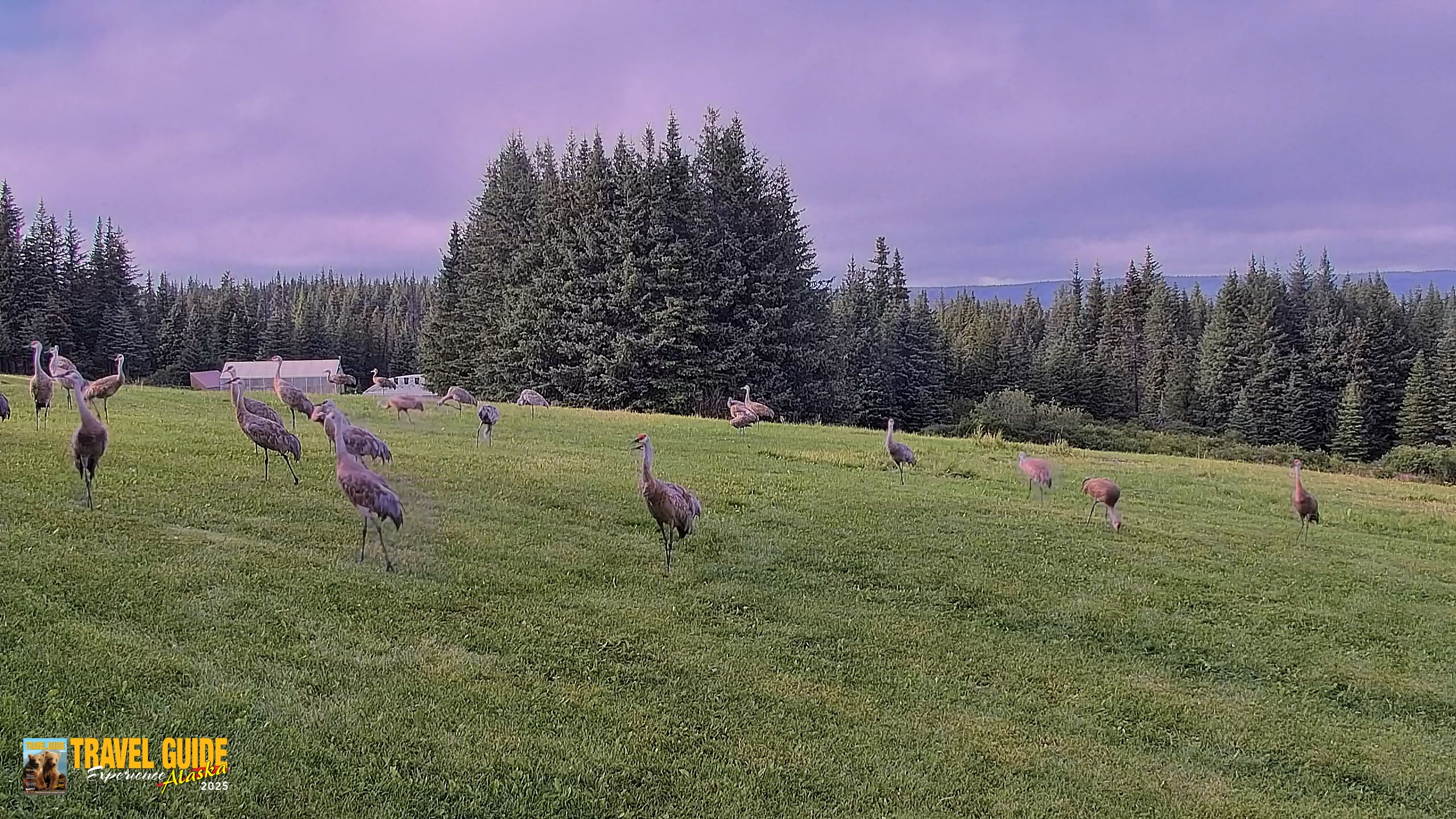 Snapshot of Inspiration Ridge - Homer Alaska Live Webcam taken Aug 25, 2026, 8:39pm AKDT