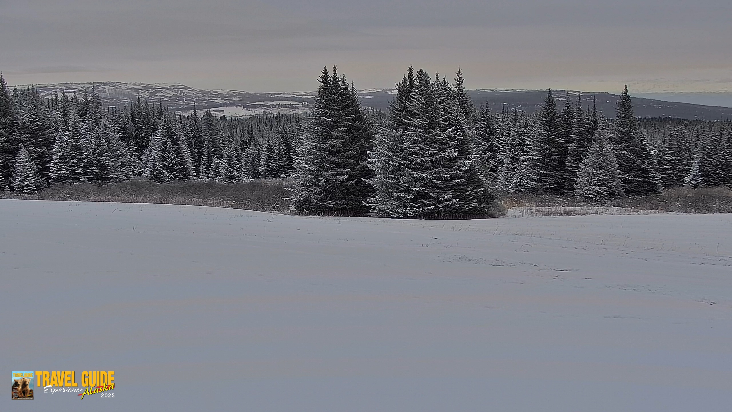 Snapshot of Inspiration Ridge - Homer Alaska Live Webcam taken Jan 5, 2026, 10:29am AKST