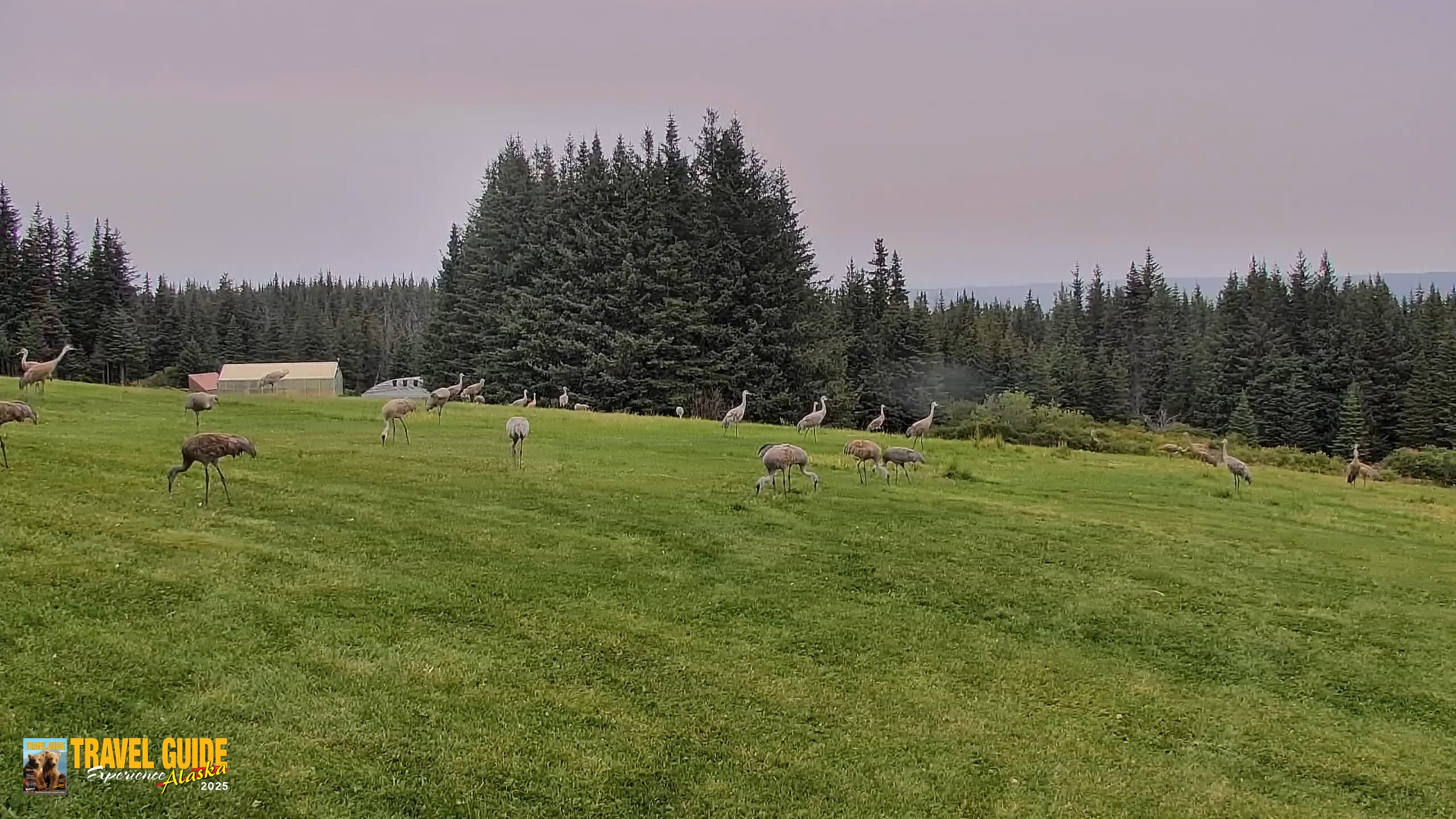 Snapshot of Inspiration Ridge - Homer Alaska Live Webcam taken Sep 4, 2026, 11:53am AKDT