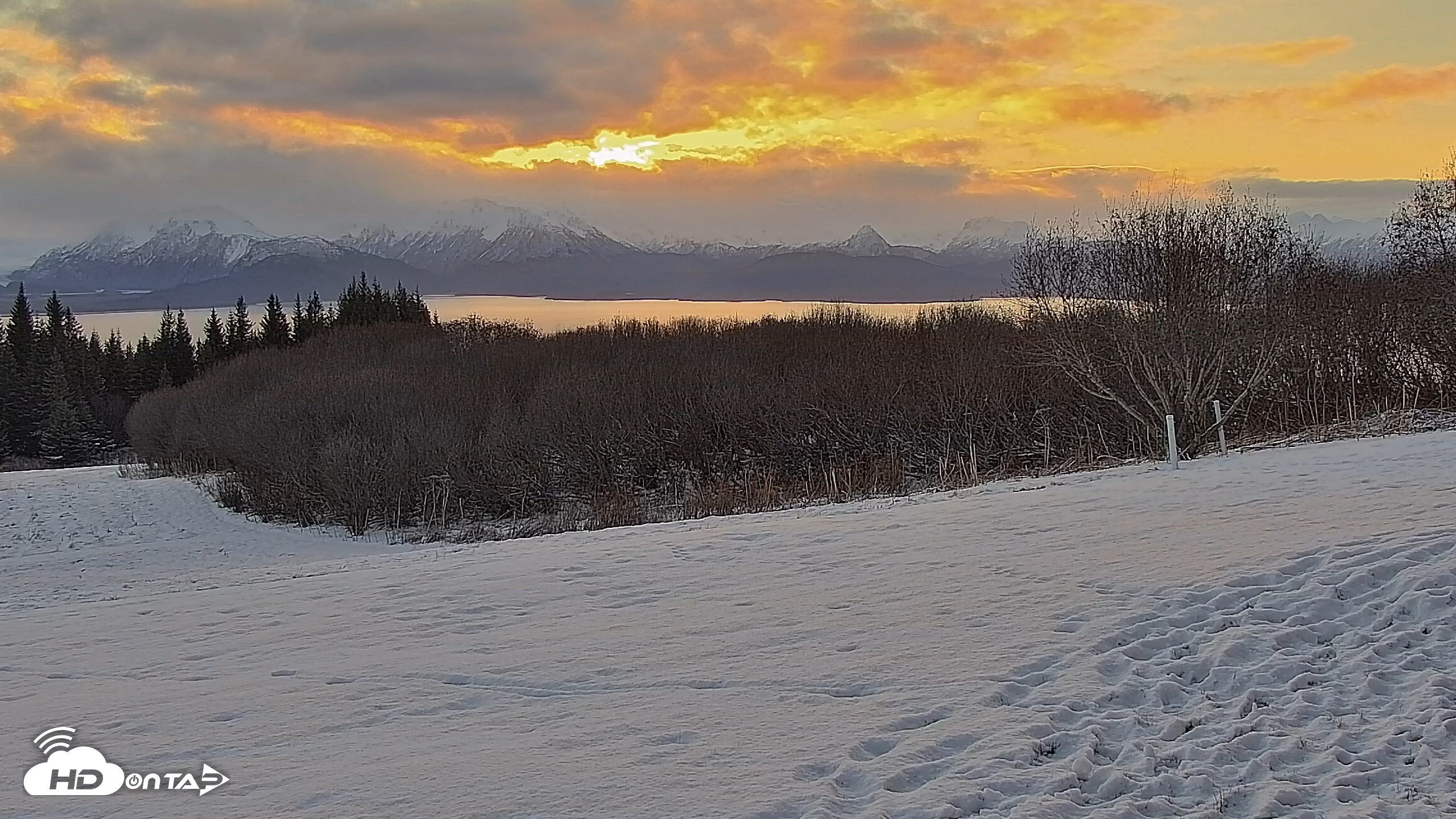 Snapshot of Inspiration Ridge - Homer Alaska Live Webcam taken Nov 19, 2025, 9:45am AKST