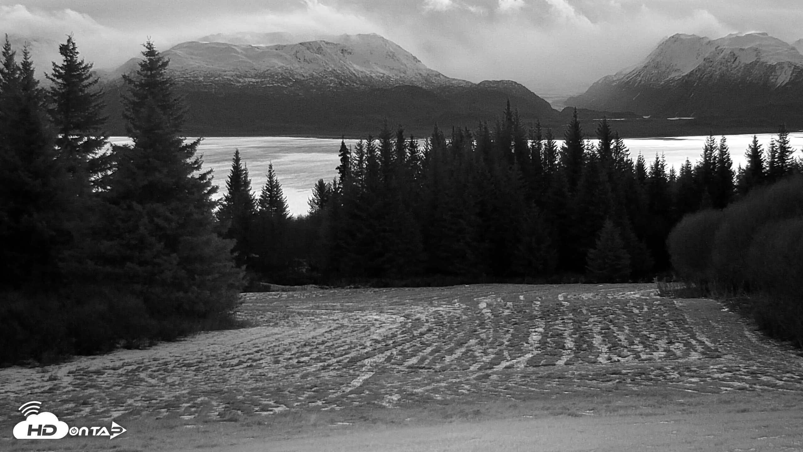 Snapshot of Inspiration Ridge - Homer Alaska Live Webcam taken Dec 2, 2025, 8:37am AKST