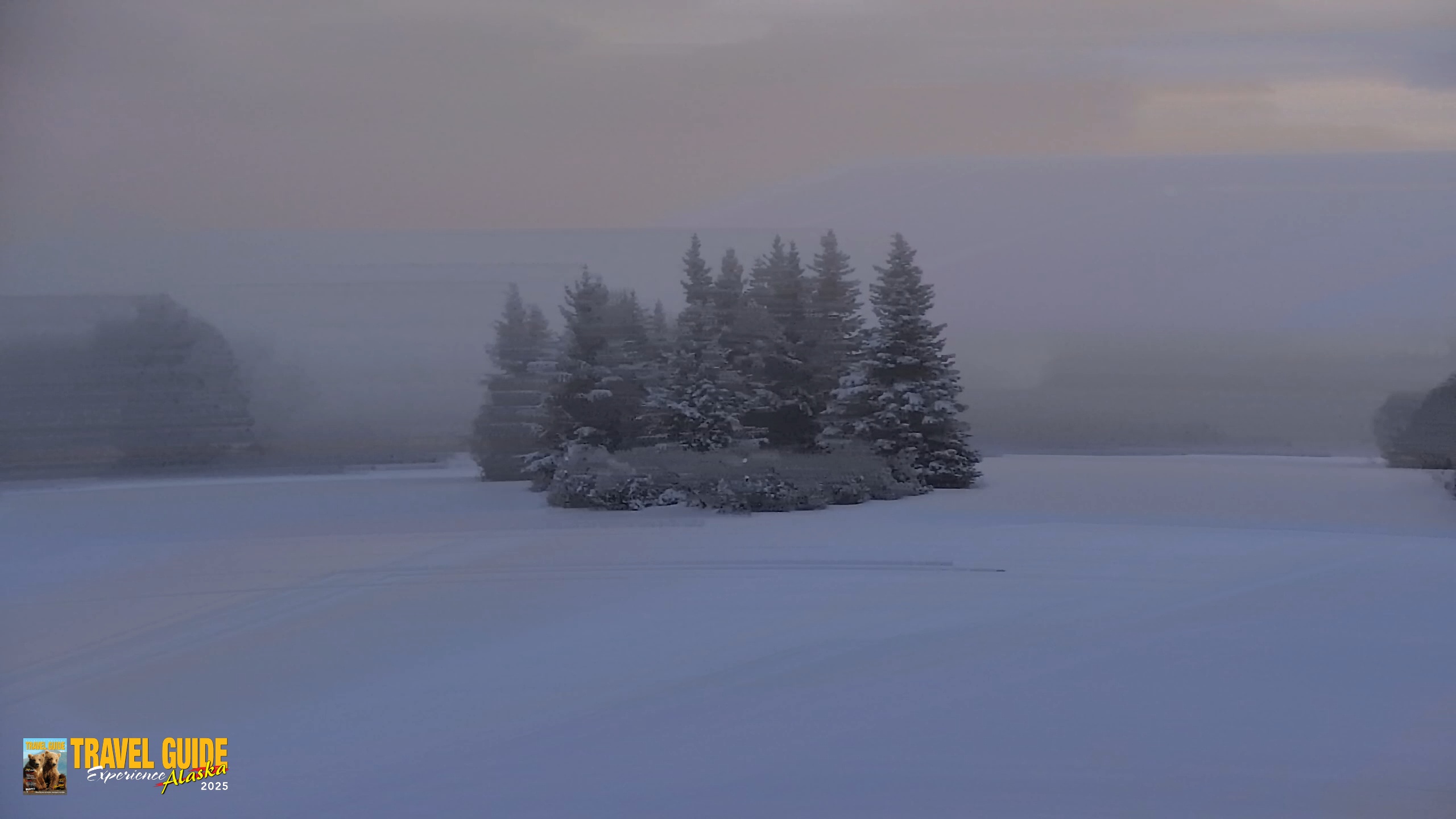 Snapshot of Inspiration Ridge - Homer Alaska Live Webcam taken Feb 12, 2026, 8:38am AKST