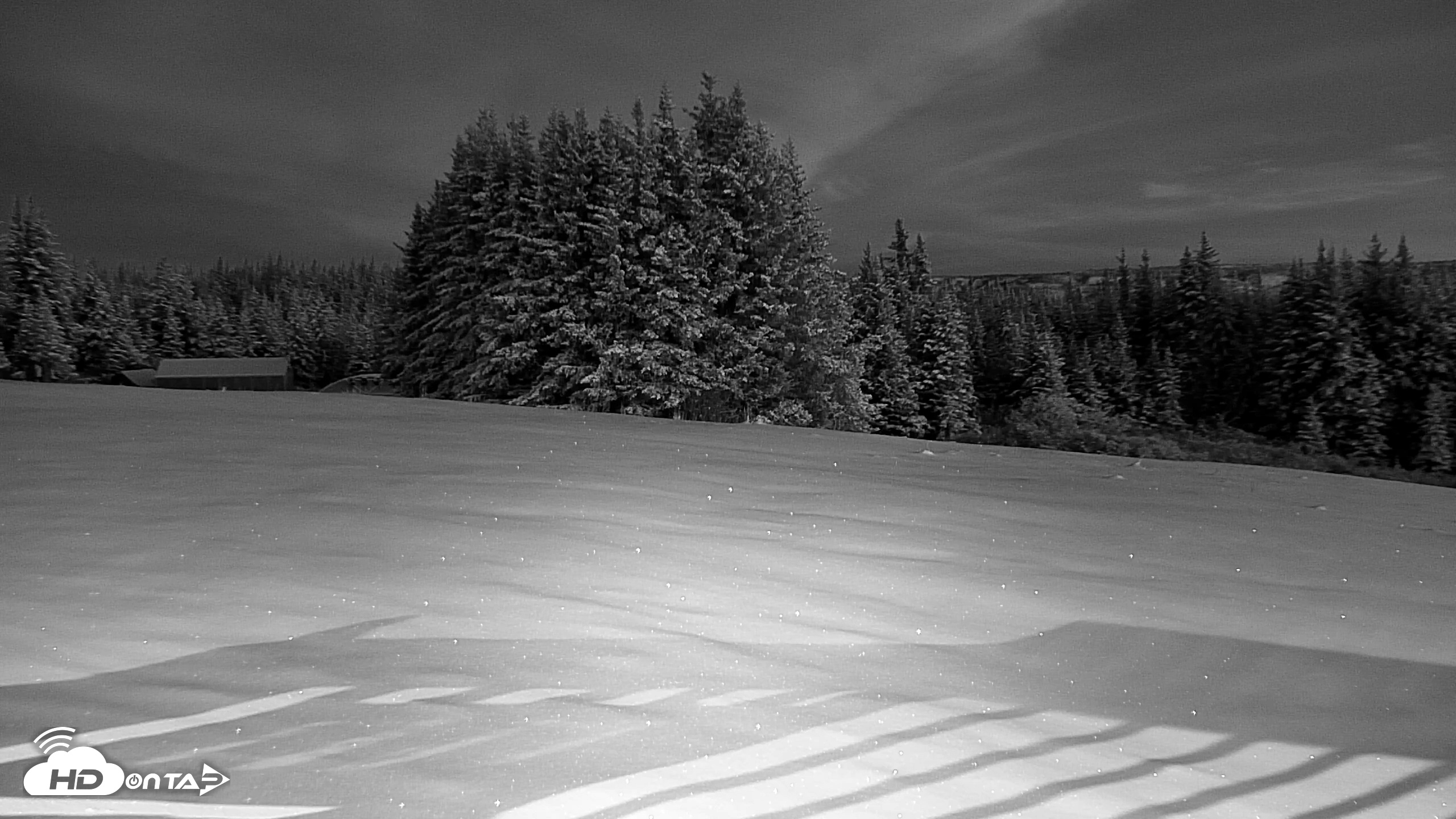 Snapshot of Inspiration Ridge - Homer Alaska Live Webcam taken Nov 22, 2025, 8:12am AKST