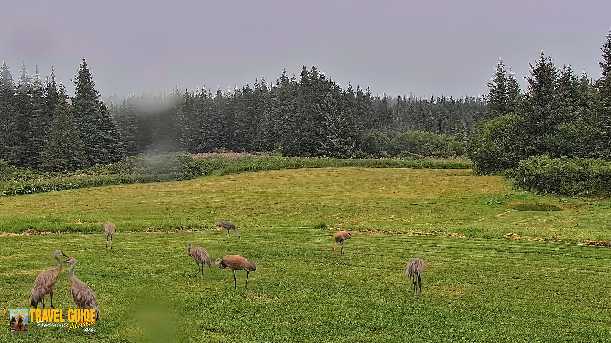 Snapshot of Inspiration Ridge - Homer Alaska Live Webcam taken Aug 19, 2026, 5:40pm AKDT