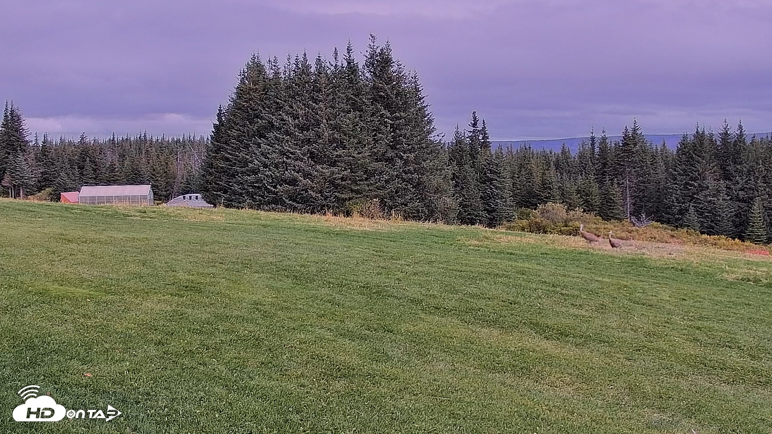 Snapshot of Inspiration Ridge - Homer Alaska Live Webcam taken Sep 13, 2025, 11:56am AKDT