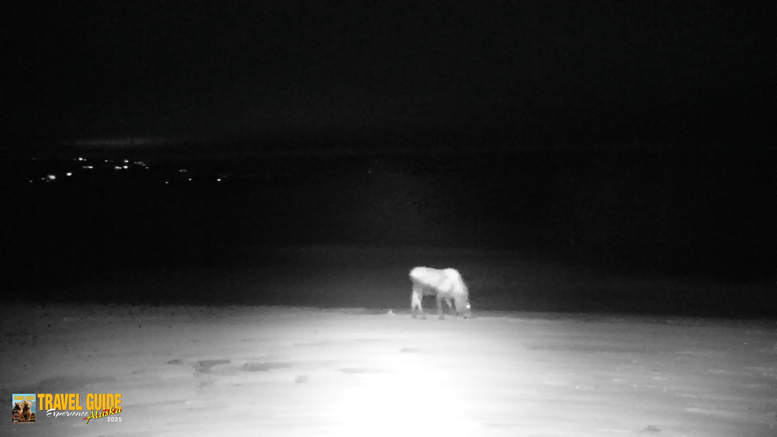 Snapshot of Inspiration Ridge - Homer Alaska Live Webcam taken Feb 9, 2026, 7:29pm AKST