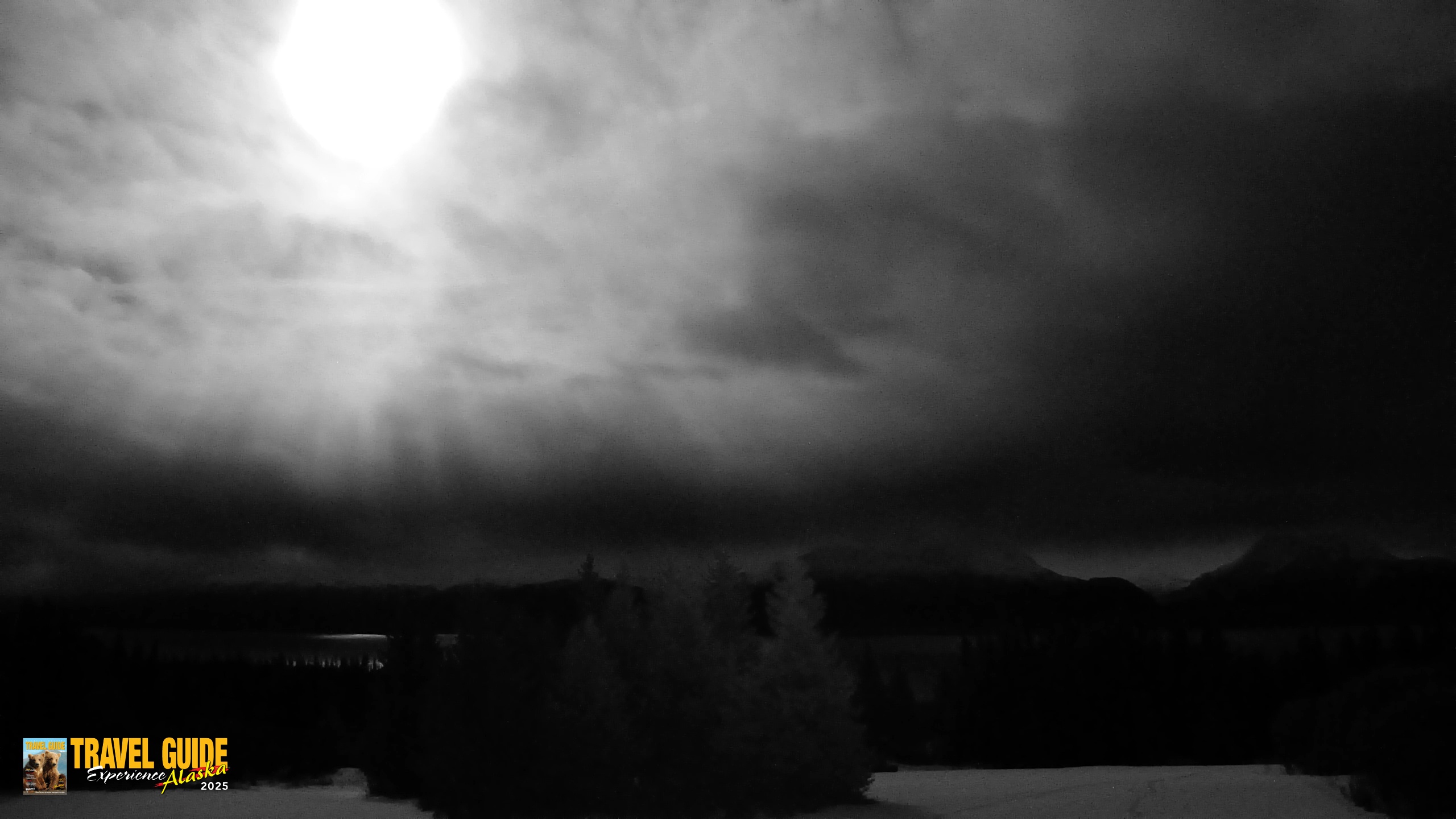 Snapshot of Inspiration Ridge - Homer Alaska Live Webcam taken Feb 1, 2026, 8:15pm AKST