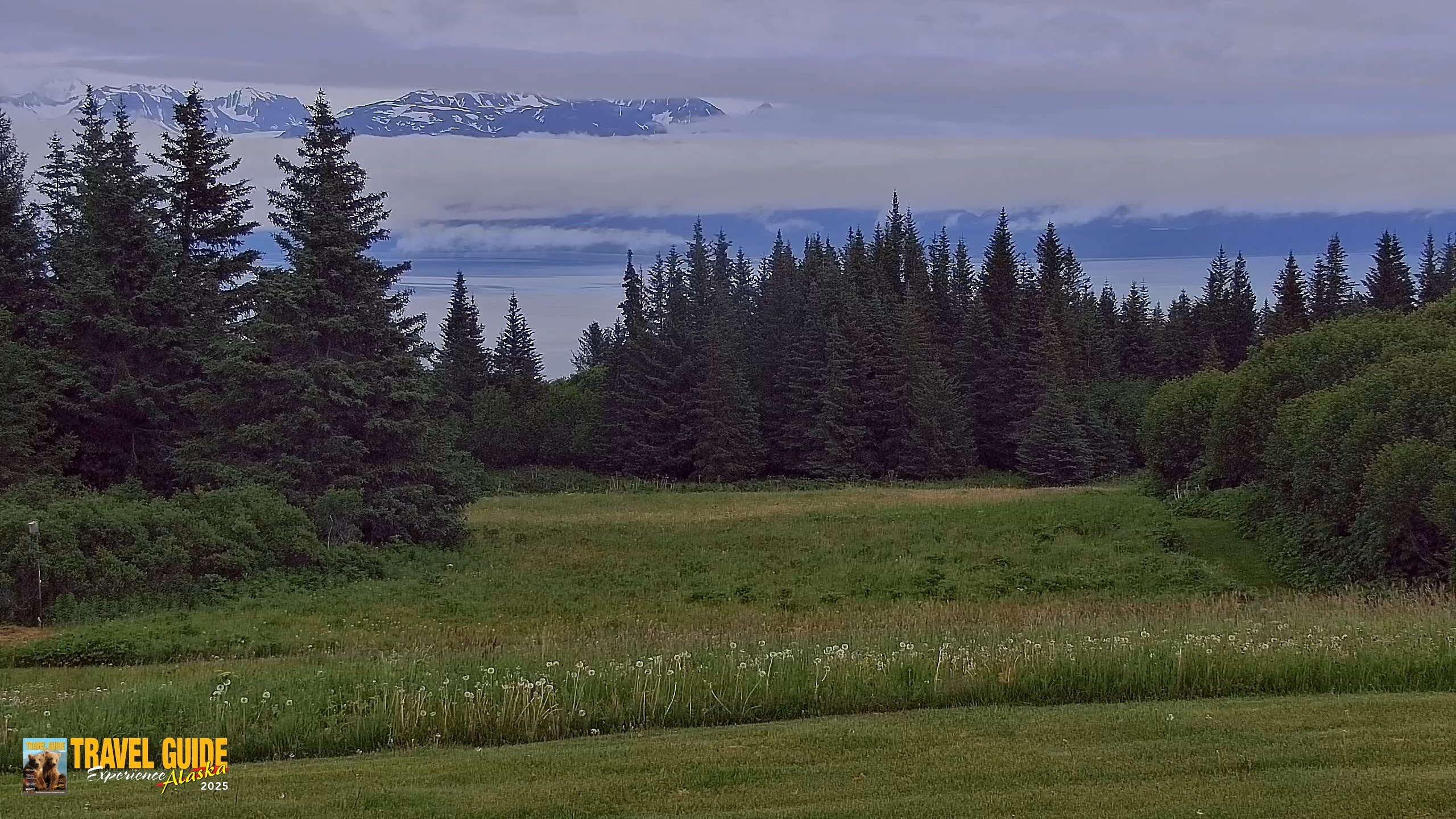 Snapshot of Inspiration Ridge - Homer Alaska Live Webcam taken Jul 12, 2026, 4:52am AKDT
