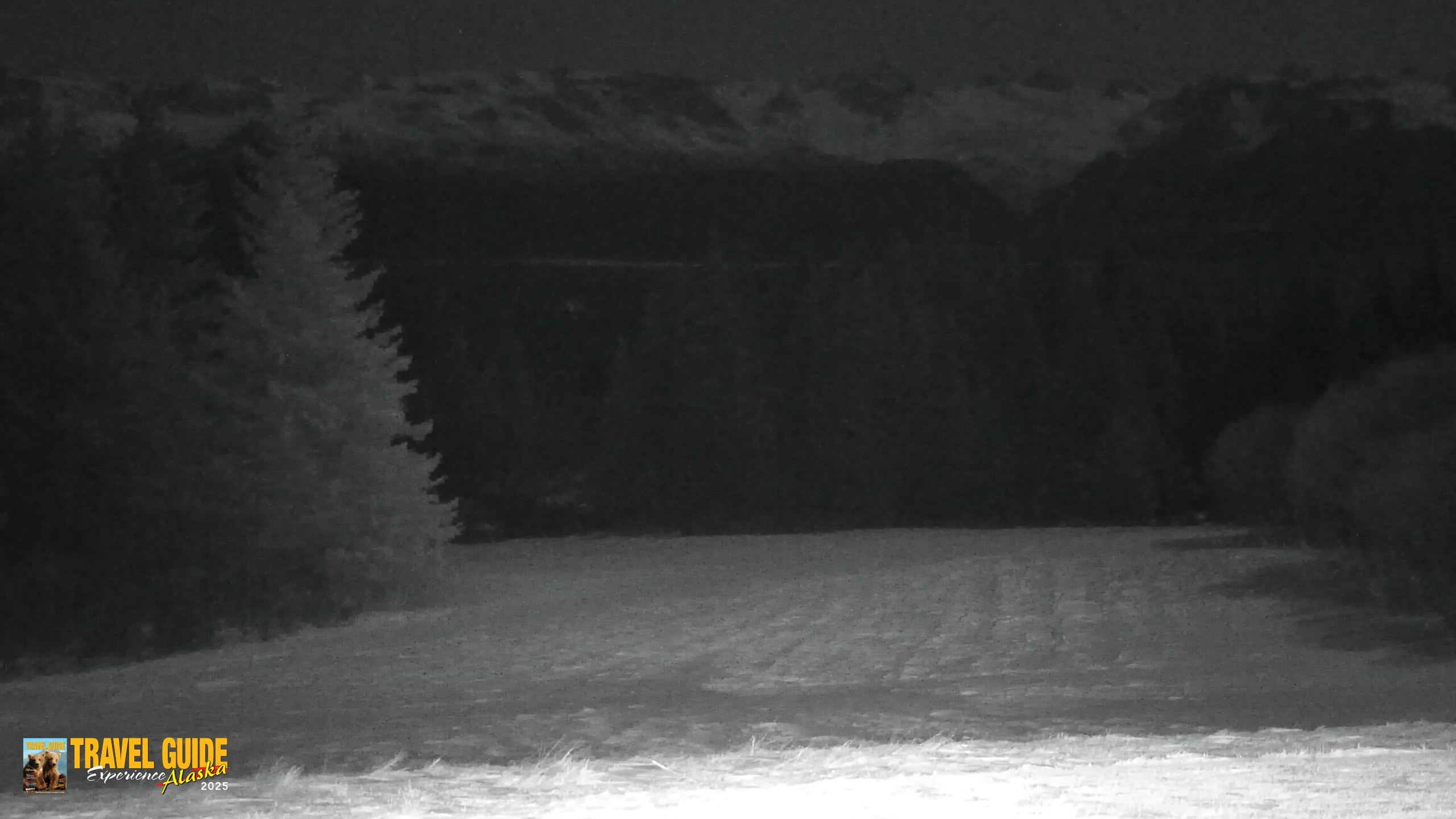 Snapshot of Inspiration Ridge - Homer Alaska Live Webcam taken Dec 28, 2025, 7:00pm AKST