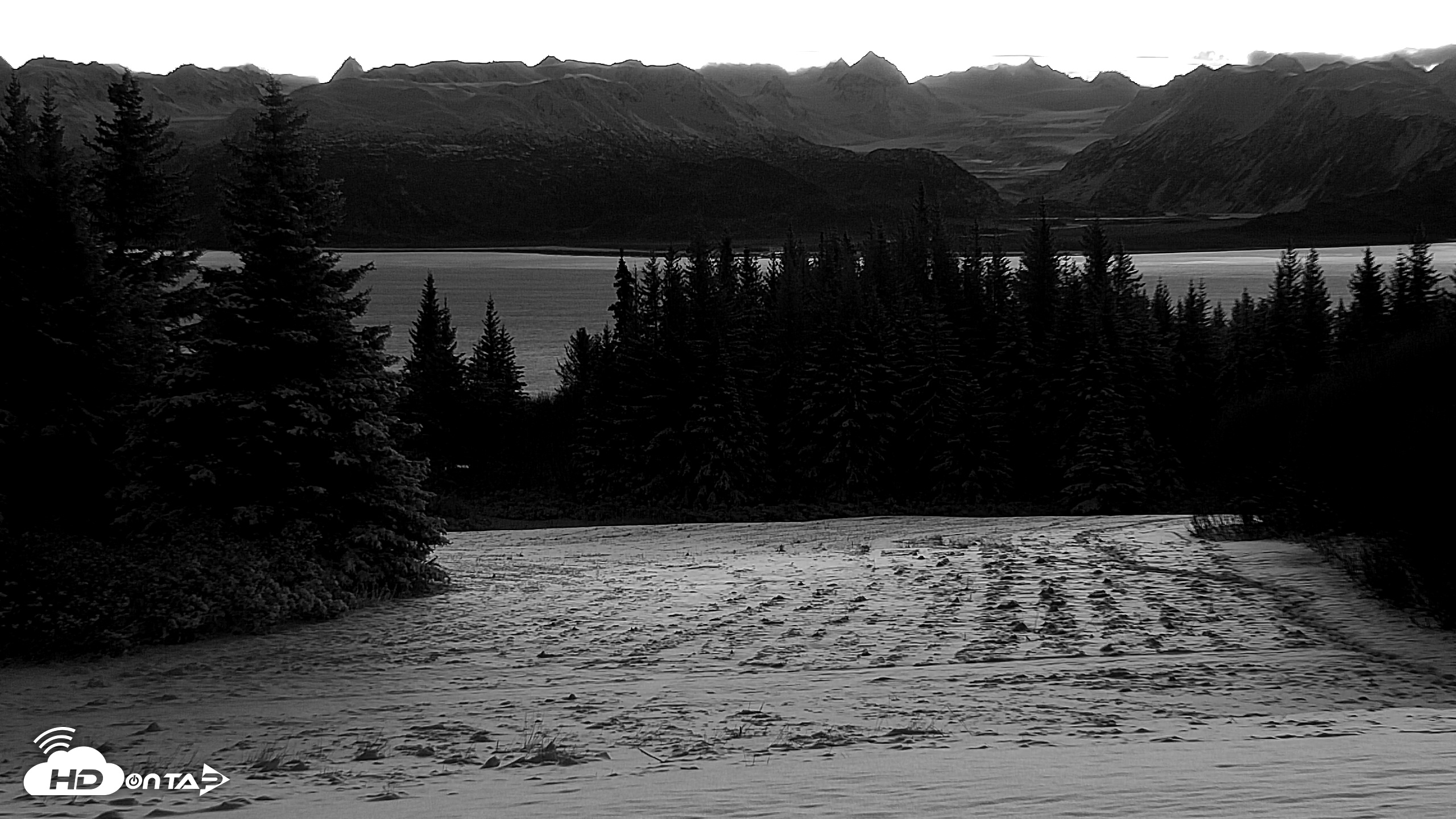 Snapshot of Inspiration Ridge - Homer Alaska Live Webcam taken Nov 24, 2025, 8:30am AKST