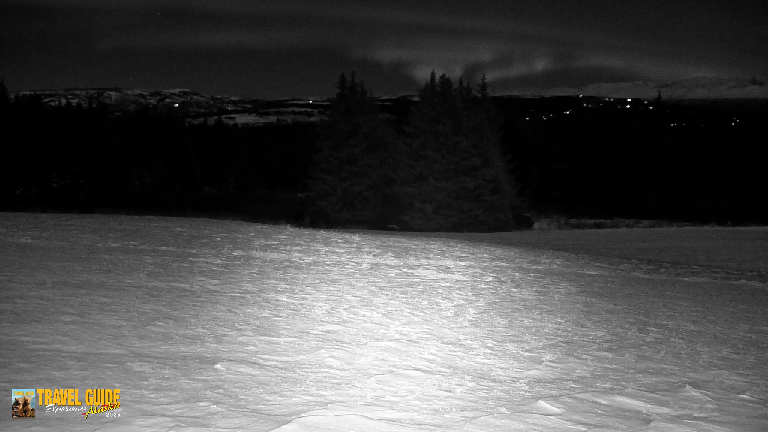 Snapshot of Inspiration Ridge - Homer Alaska Live Webcam taken Dec 31, 2025, 11:34pm AKST