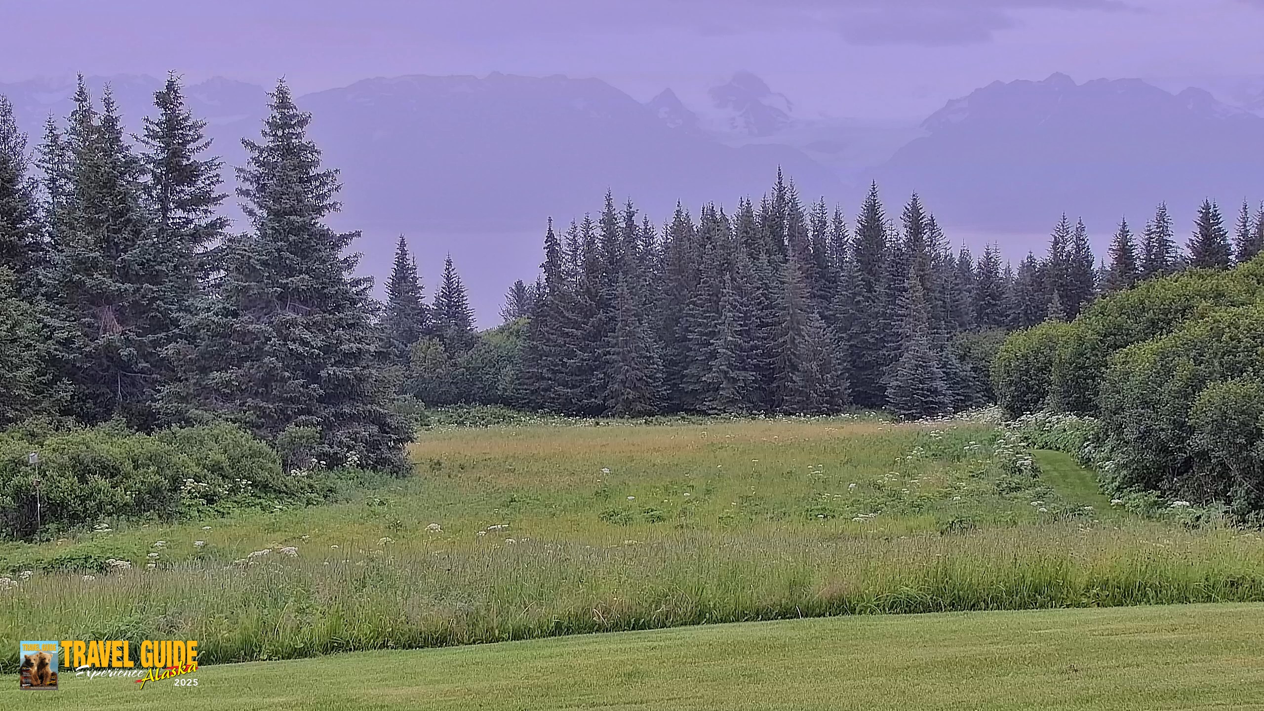 Snapshot of Inspiration Ridge - Homer Alaska Live Webcam taken Aug 5, 2026, 1:36pm AKDT