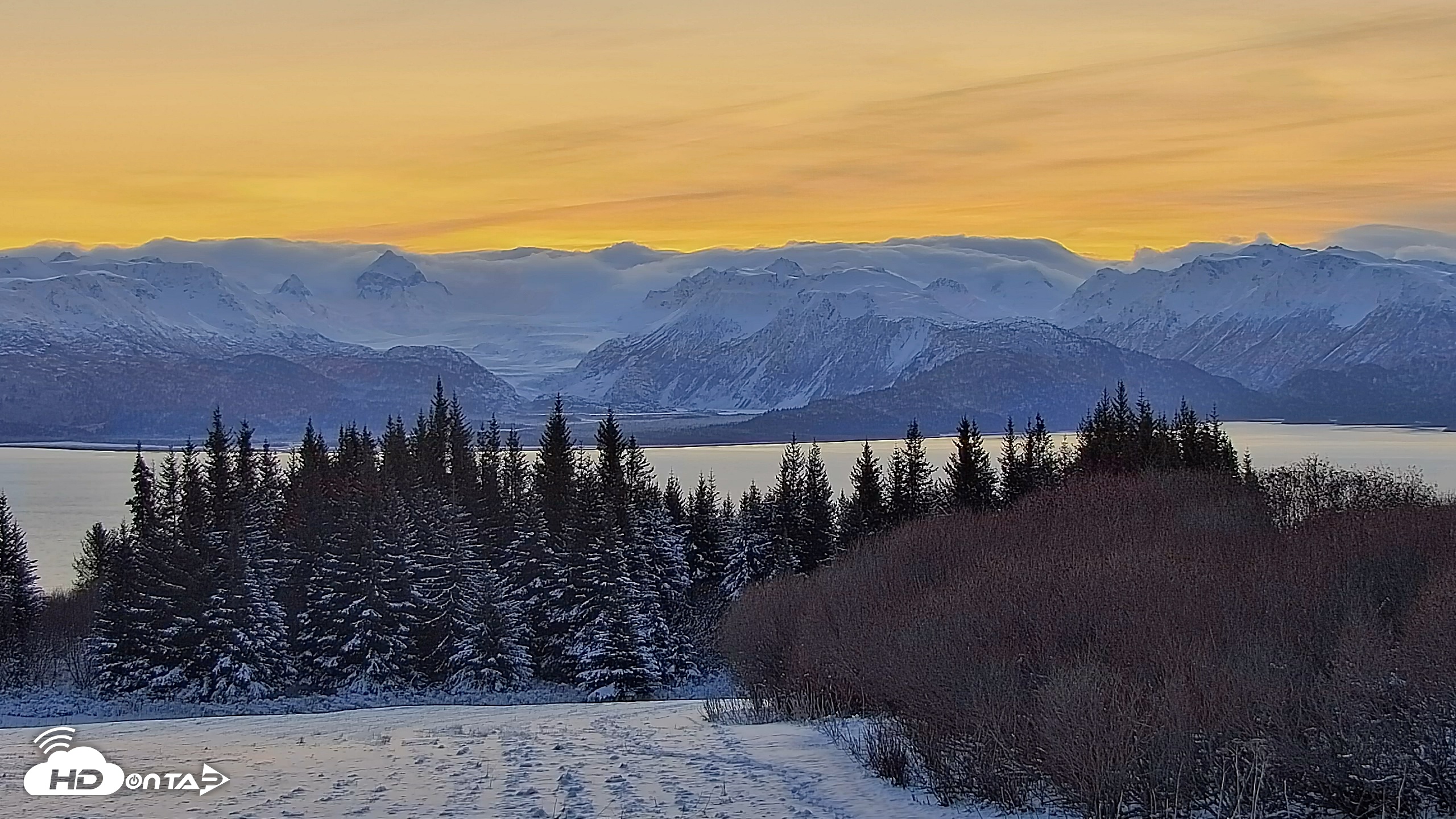 Snapshot of Inspiration Ridge - Homer Alaska Live Webcam taken Nov 25, 2025, 8:58am AKST