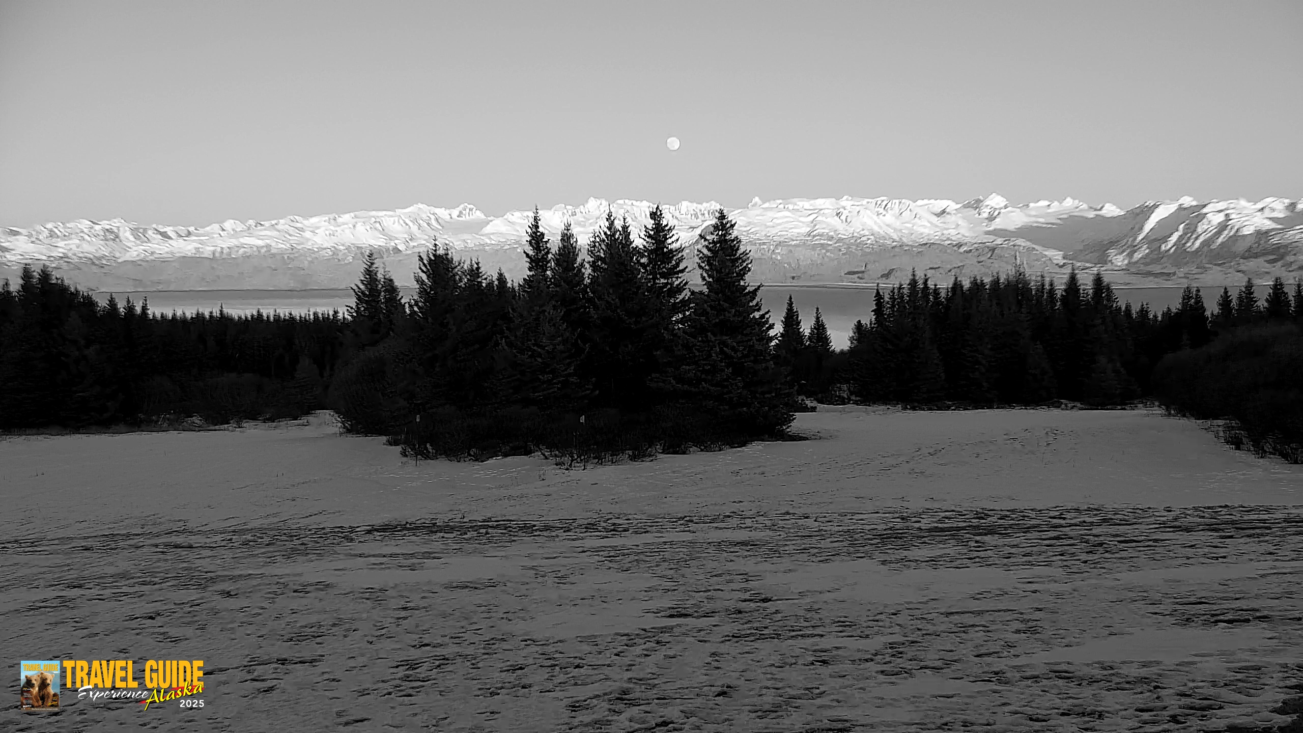 Snapshot of Inspiration Ridge - Homer Alaska Live Webcam taken Mar 31, 2026, 9:01pm AKDT