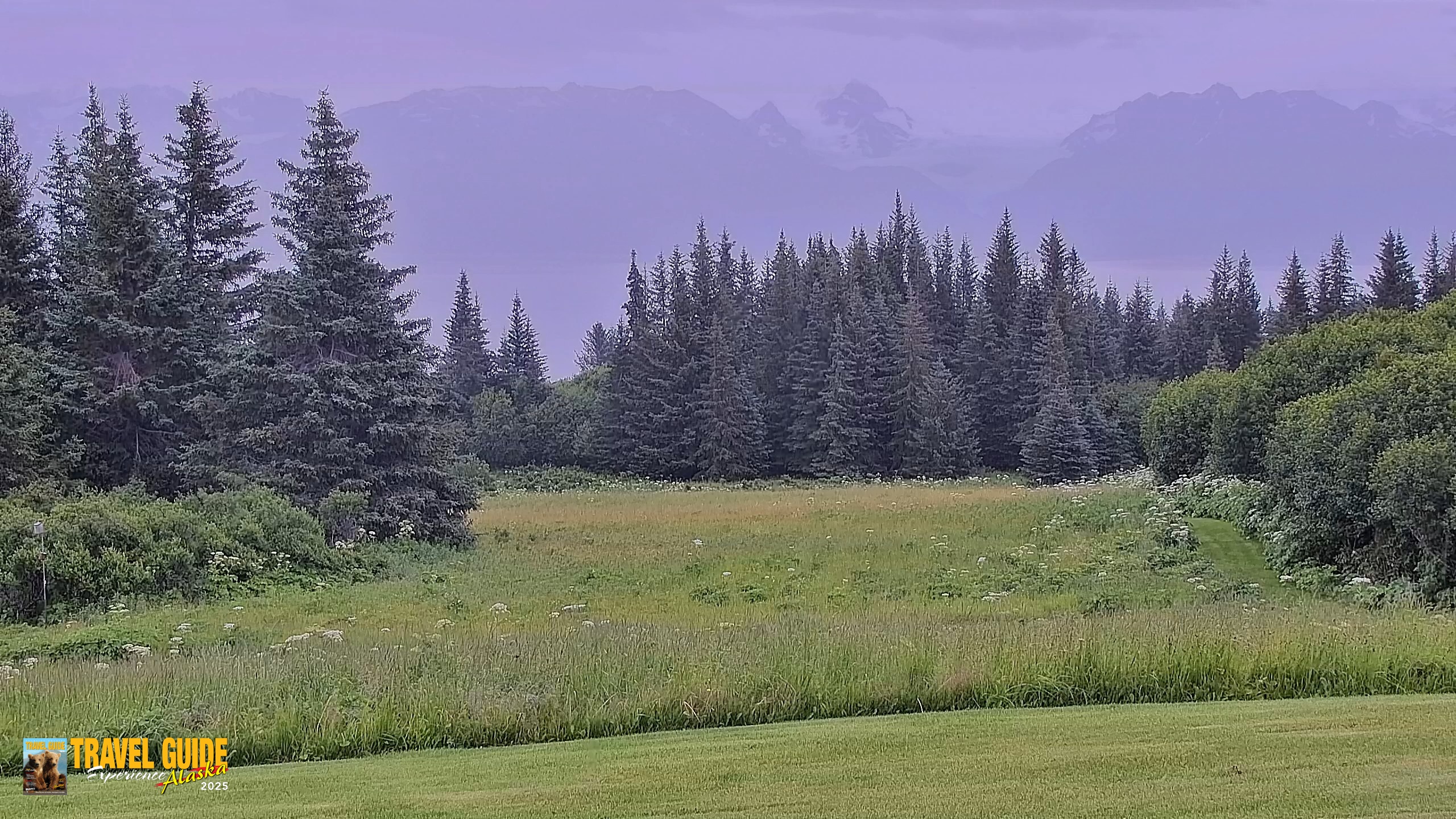 Snapshot of Inspiration Ridge - Homer Alaska Live Webcam taken Aug 5, 2026, 1:39pm AKDT