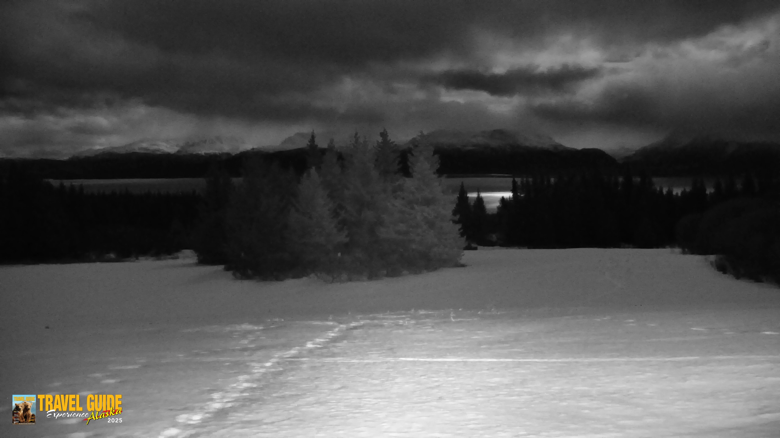Snapshot of Inspiration Ridge - Homer Alaska Live Webcam taken Feb 1, 2026, 10:08pm AKST