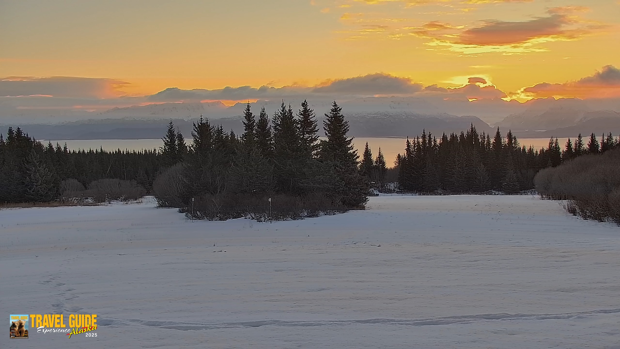 Snapshot of Inspiration Ridge - Homer Alaska Live Webcam taken Feb 15, 2026, 8:56am AKST