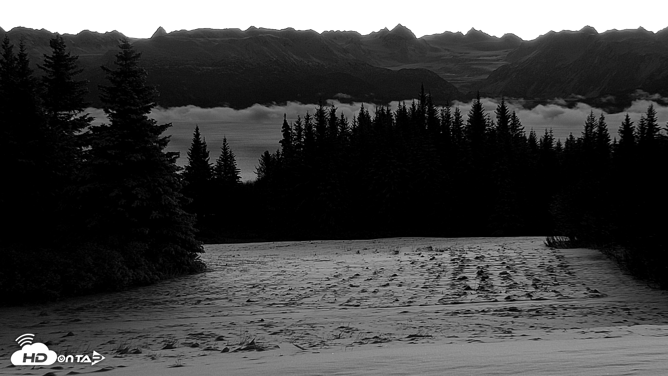 Snapshot of Inspiration Ridge - Homer Alaska Live Webcam taken Nov 23, 2025, 8:23am AKST