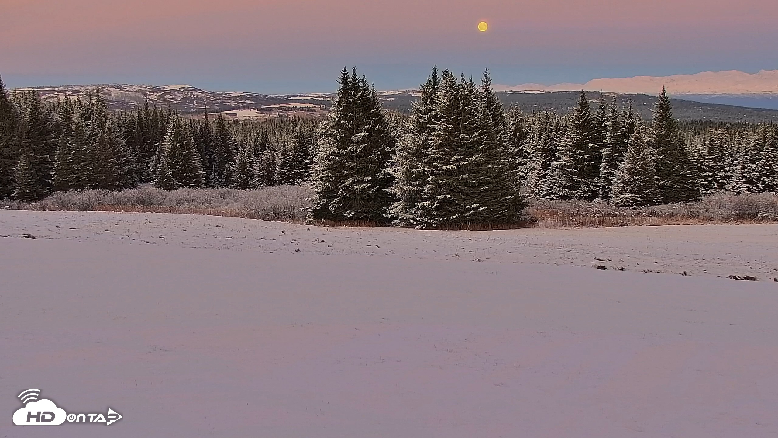 Snapshot of Inspiration Ridge - Homer Alaska Live Webcam taken Nov 5, 2025, 7:04pm AKST