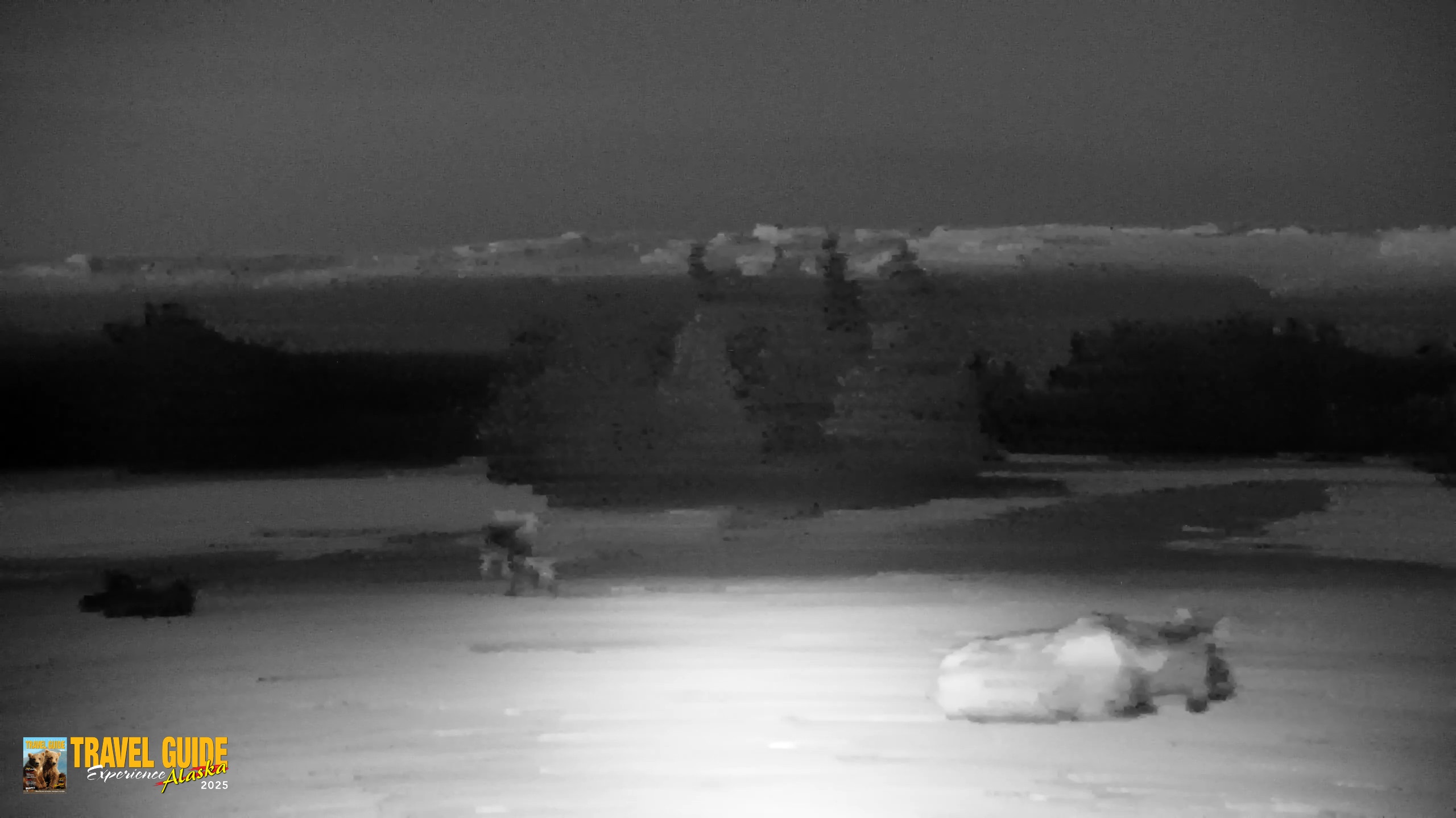 Snapshot of Inspiration Ridge - Homer Alaska Live Webcam taken Apr 14, 2026, 10:32pm AKDT