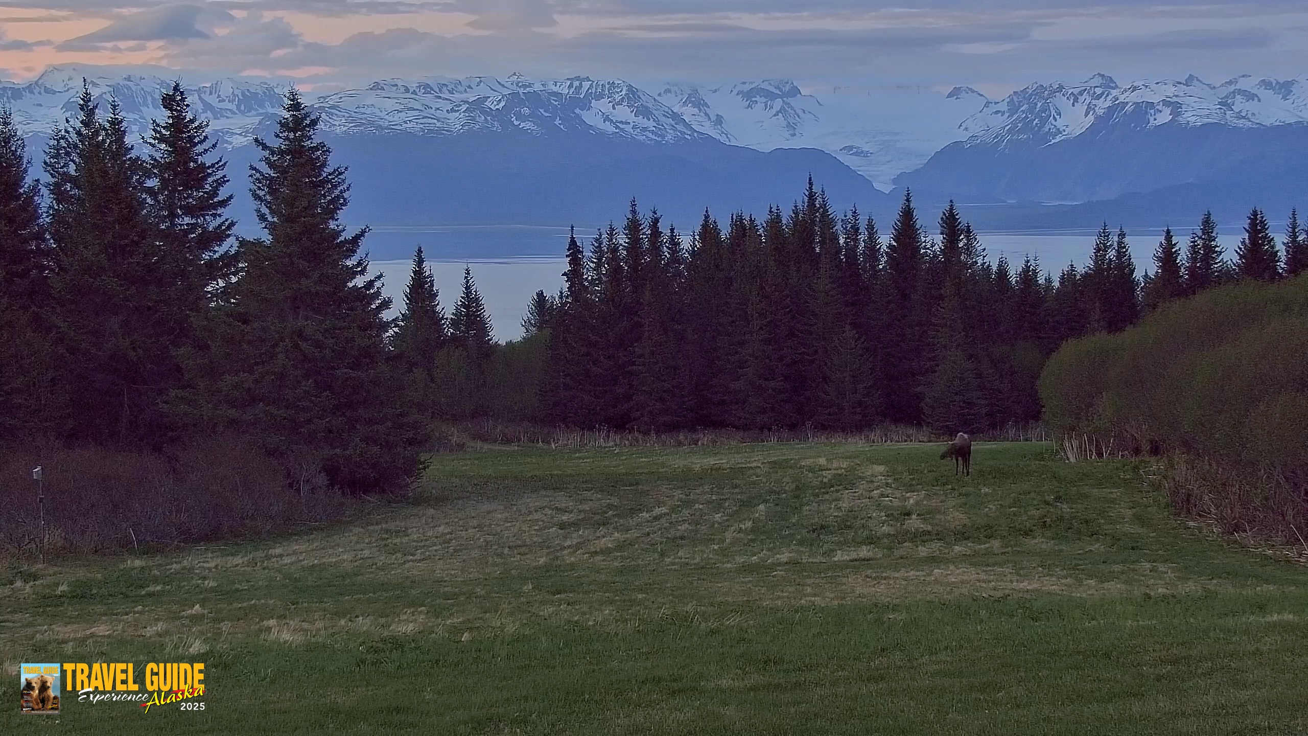 Snapshot of Inspiration Ridge - Homer Alaska Live Webcam taken Jun 9, 2026, 4:03am AKDT