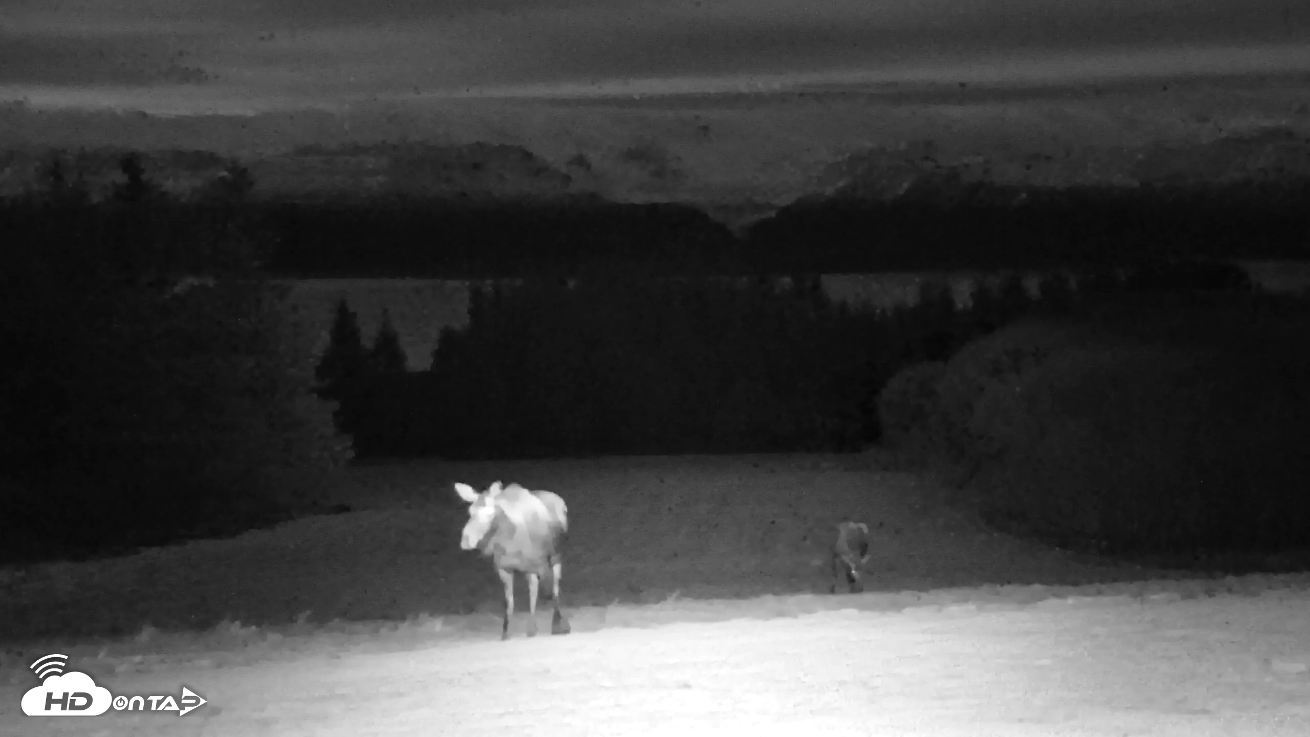 Snapshot of Inspiration Ridge - Homer Alaska Live Webcam taken Dec 2, 2025, 6:31pm AKST