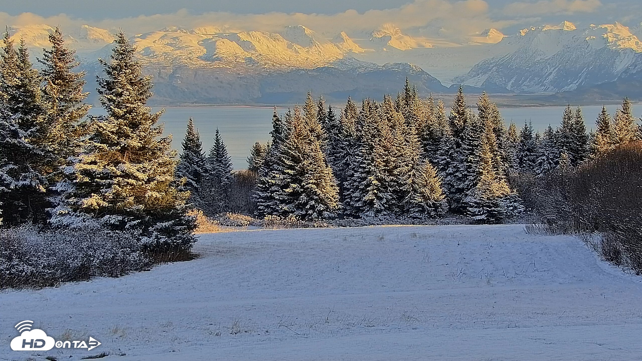 Snapshot of Inspiration Ridge - Homer Alaska Live Webcam taken Nov 5, 2025, 3:49pm AKST