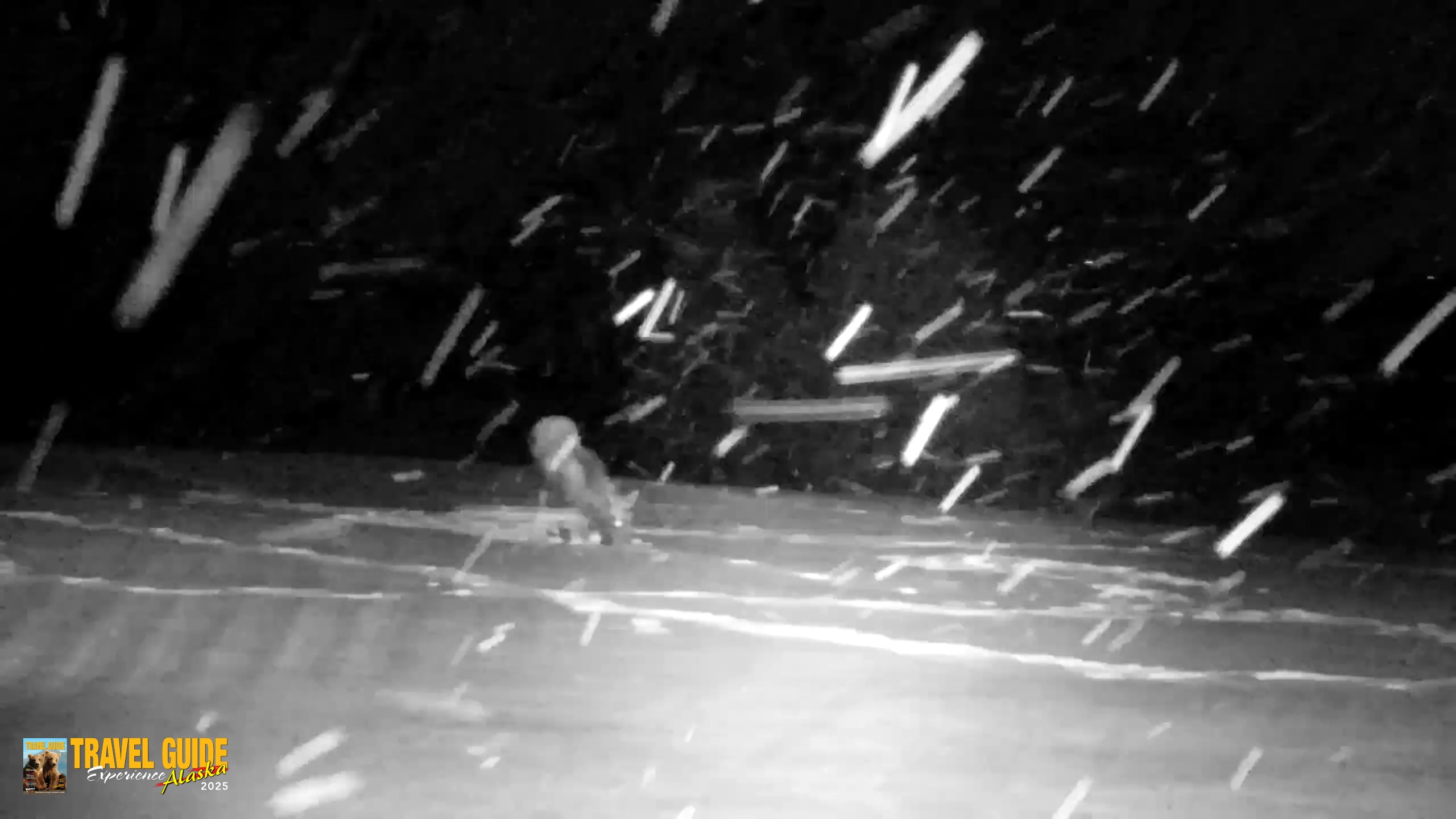 Snapshot of Inspiration Ridge - Homer Alaska Live Webcam taken Jan 5, 2026, 7:12pm AKST