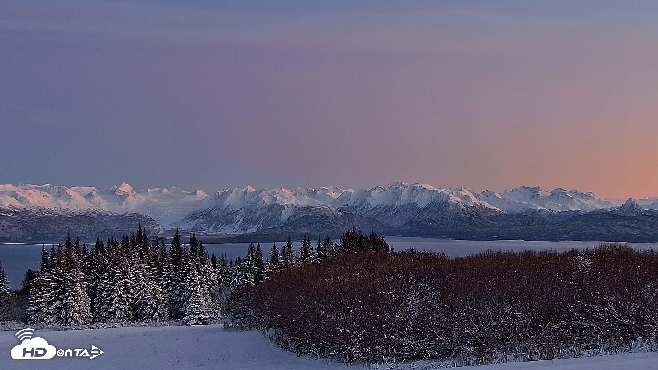 Snapshot of Inspiration Ridge - Homer Alaska Live Webcam taken Nov 23, 2025, 5:09pm AKST
