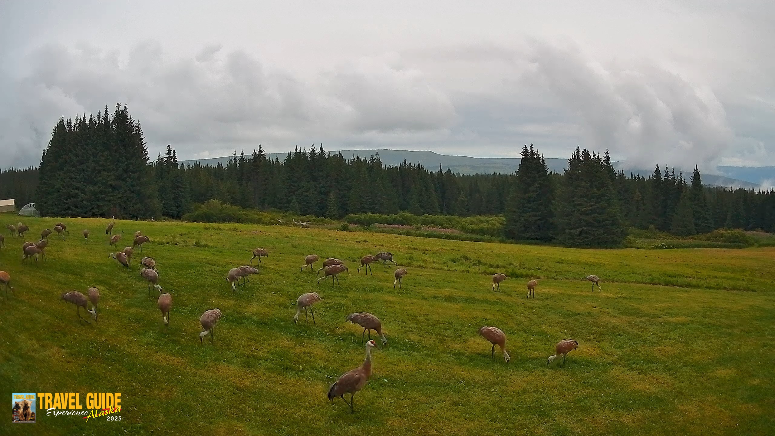 Snapshot of Inspiration Ridge - Homer Alaska Live Webcam taken Aug 22, 2026, 8:26pm AKDT