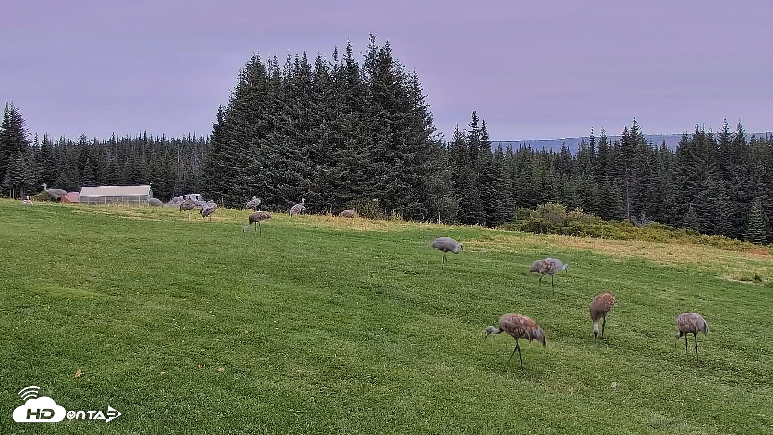 Snapshot of Inspiration Ridge - Homer Alaska Live Webcam taken Sep 6, 2025, 10:49am AKDT