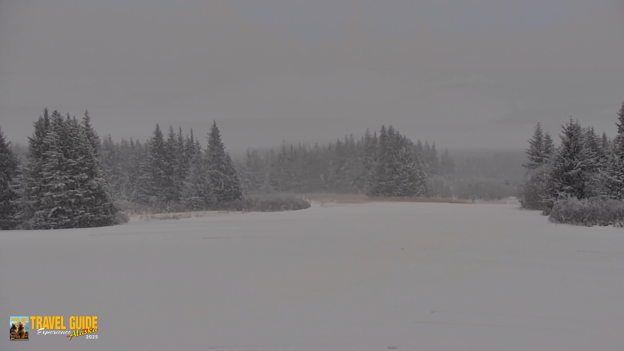 Snapshot of Inspiration Ridge - Homer Alaska Live Webcam taken Jan 27, 2026, 10:27am AKST