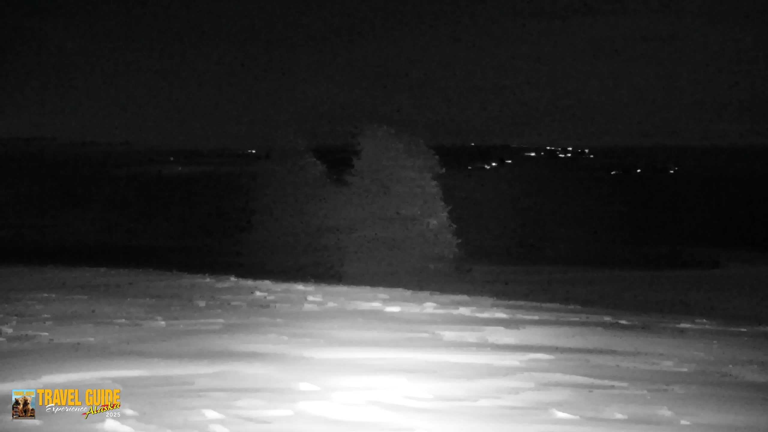 Snapshot of Inspiration Ridge - Homer Alaska Live Webcam taken Dec 27, 2025, 10:13pm AKST